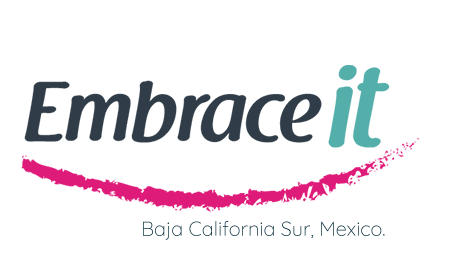 Embrace IT logo