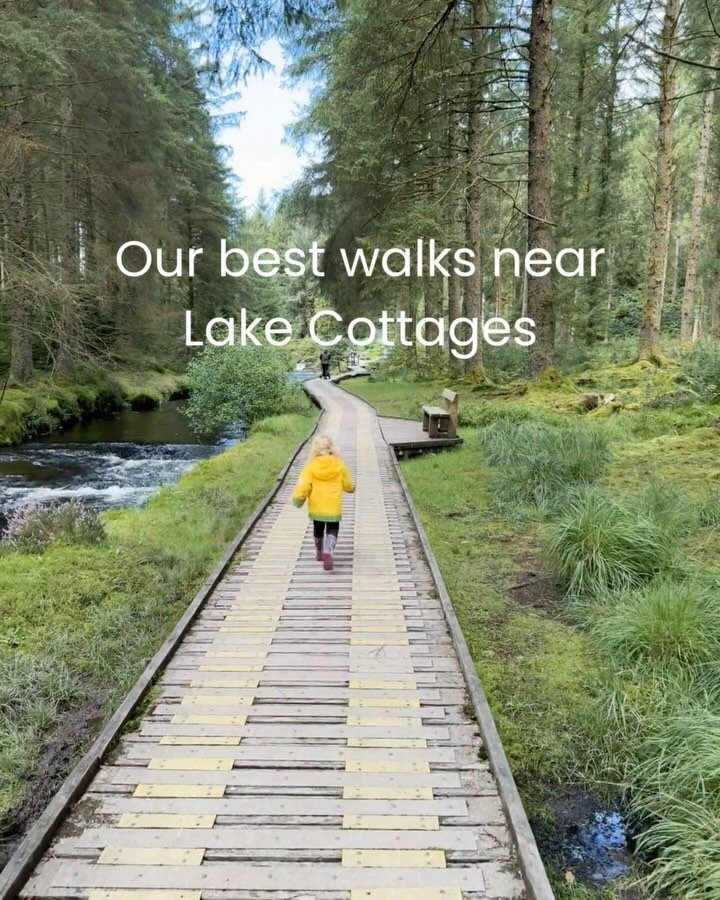 Our Best Walks Near Lake Cottages 🥾🌳

Whether you&rsquo;re chasing views, sunsets, or wildflower fields, these are our favourite local(ish) walks from Lake Cottages at Cwm Chwefru:

🌲 Hafren Forest - rivers, waterfalls &amp; forest trails (1 hr)
?