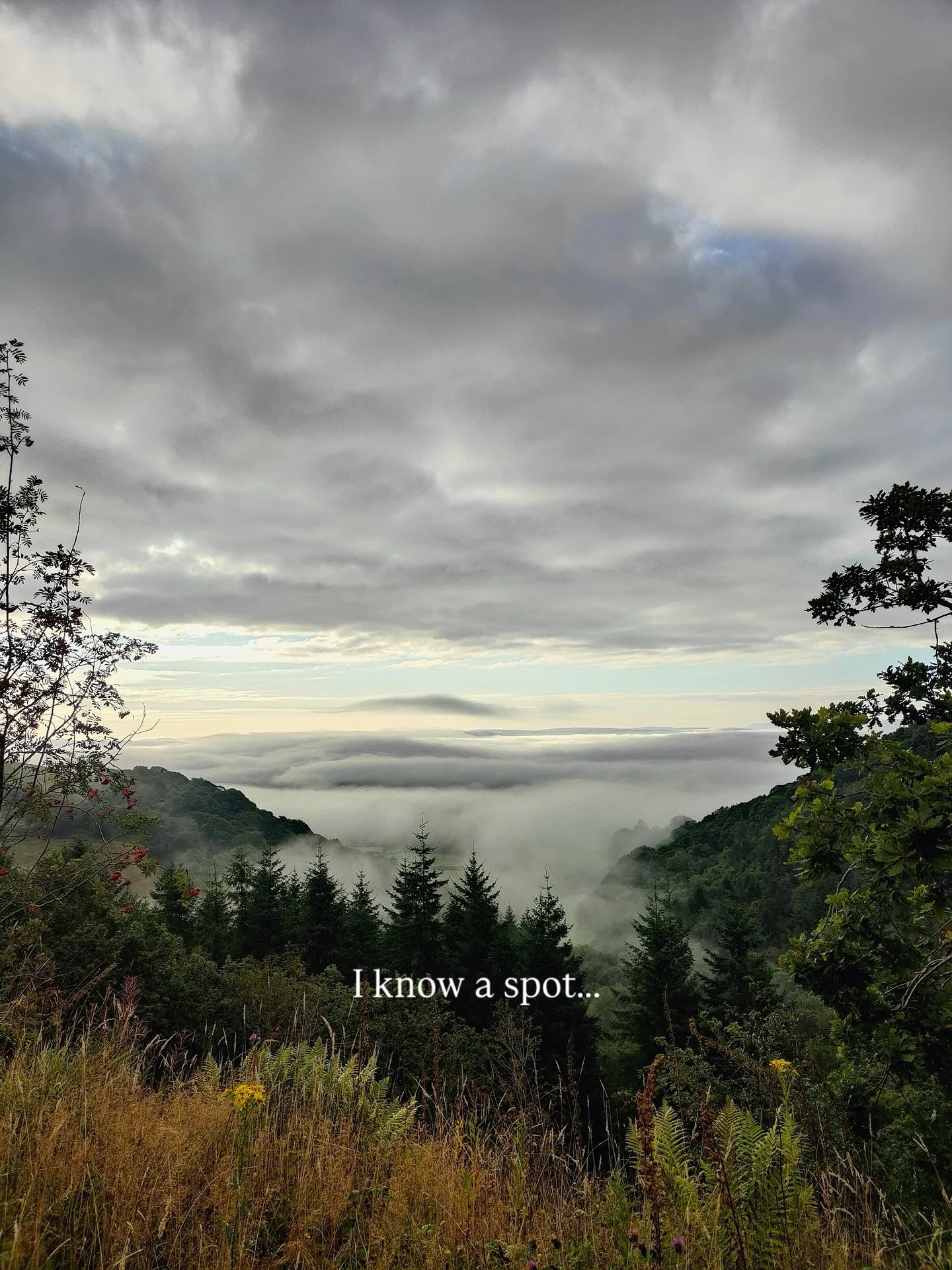 On a clear day this view is unmatched + it&rsquo;s only a short hike from the cottages! 🌄 

#views #midwales #powys #waleshike #waleswalks #hiking