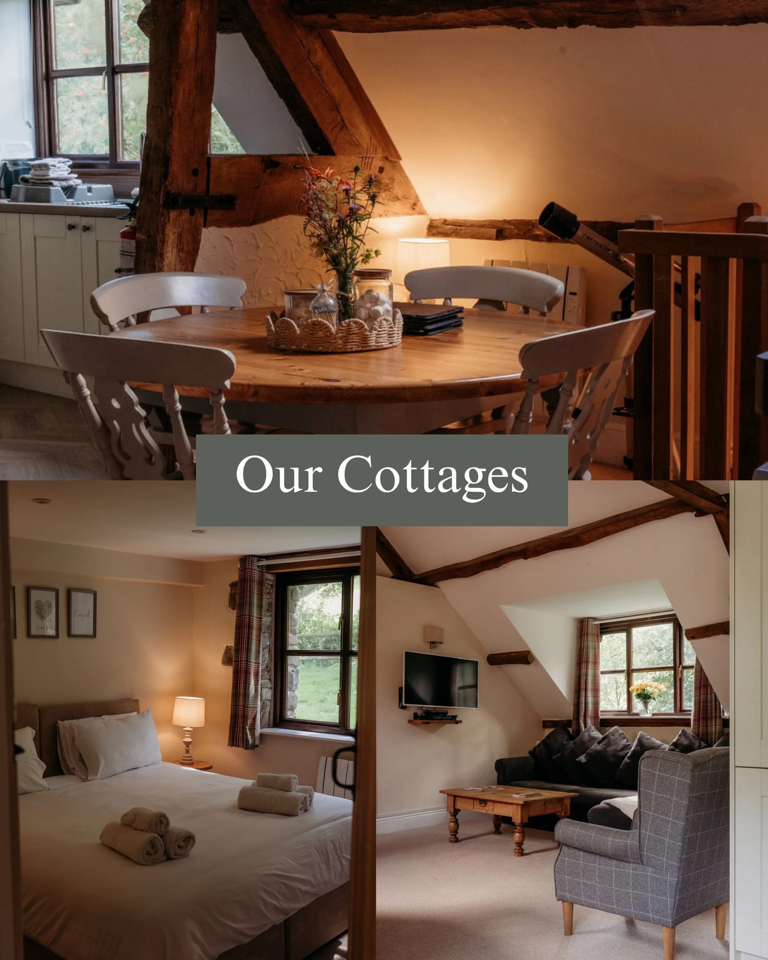Take a look at our collection of cottages at @lakecottagesatcwmchwefru 🌿

See one you like? Link in bio to book.