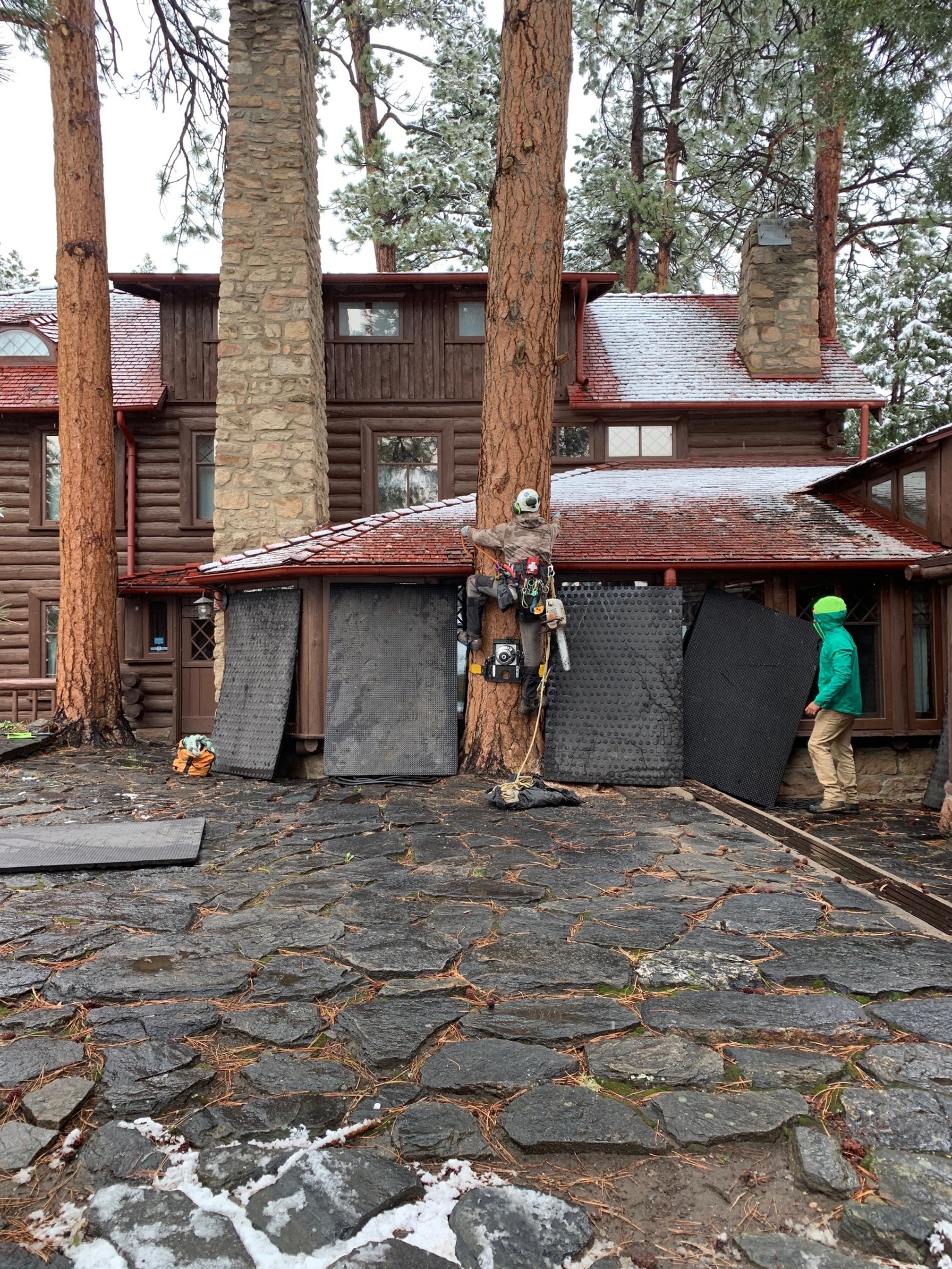Image of Tree Removal at Hiwan Heritage Museum 