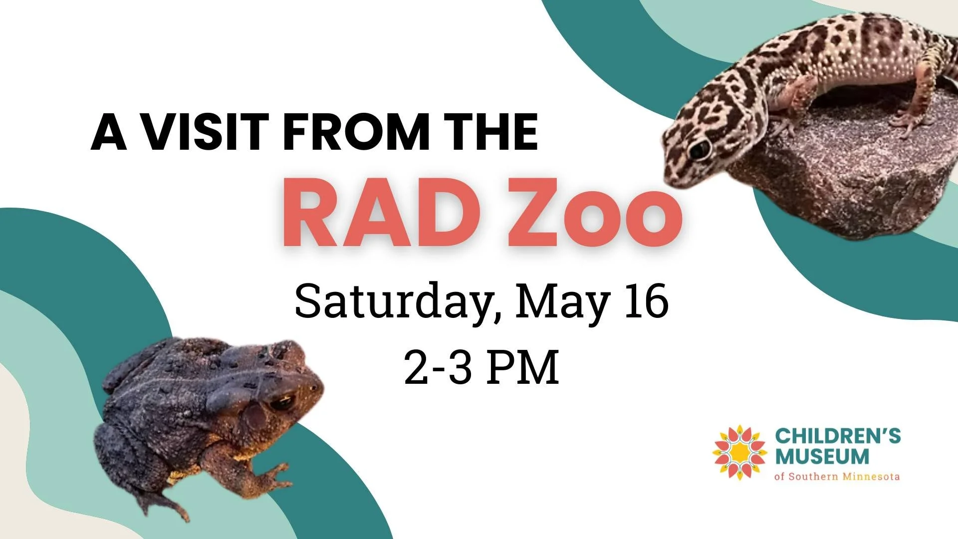 RAD Zoo at the Children’s Museum of Southern MN