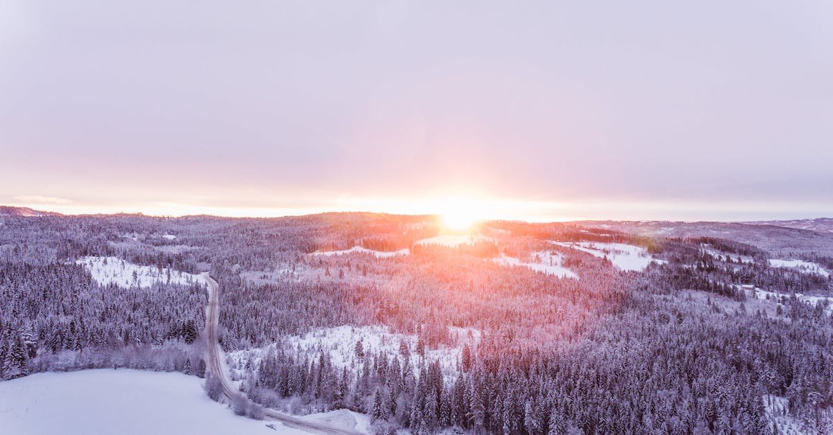The Best Cannabis Strains For Winter