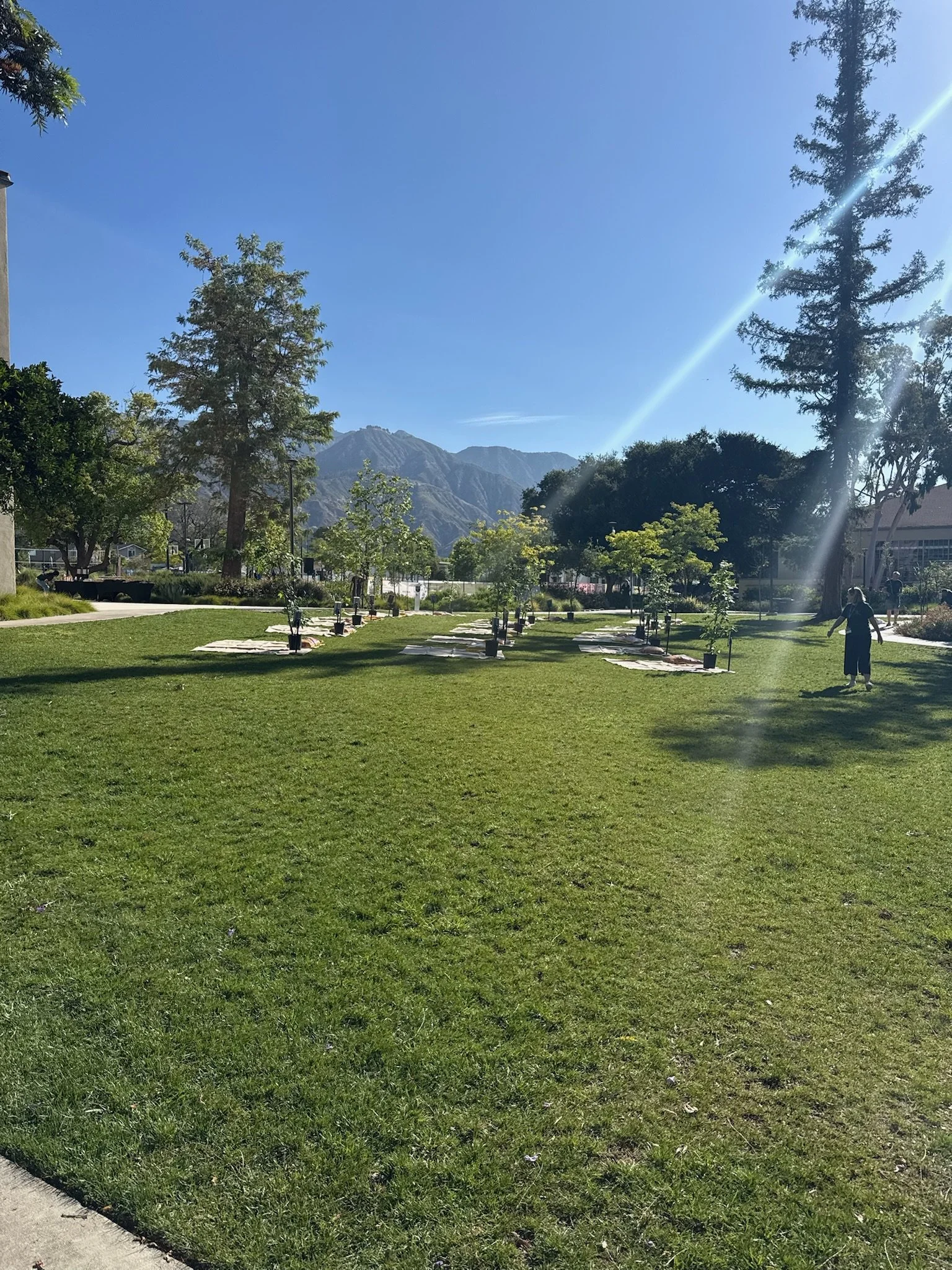 IMG_6130.jpeg