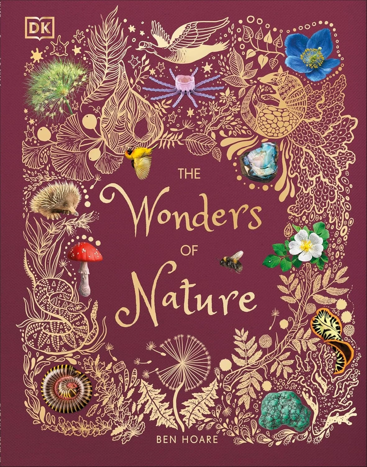 The Wonders of Nature invites readers to discover extraordinary plants, animals, rocks, and minerals through dazzling illustrations and fascinating stories. Ben Hoare brings the natural world to life with warmth and curiosity, inspiring readers to ma
