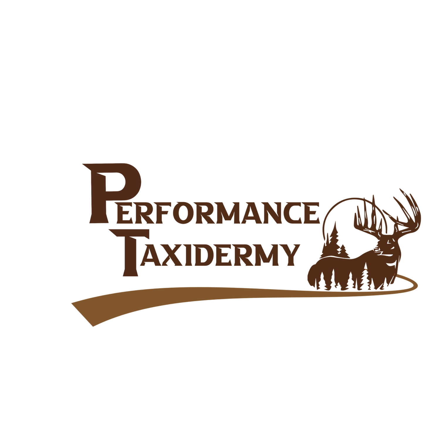 Performace Taxidermy
