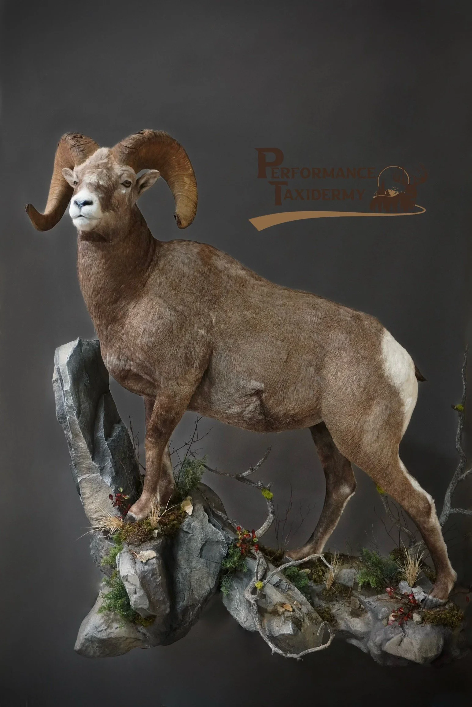 Facetune_23-12-2025-10-44-05 (1).jpg, 3.jpg