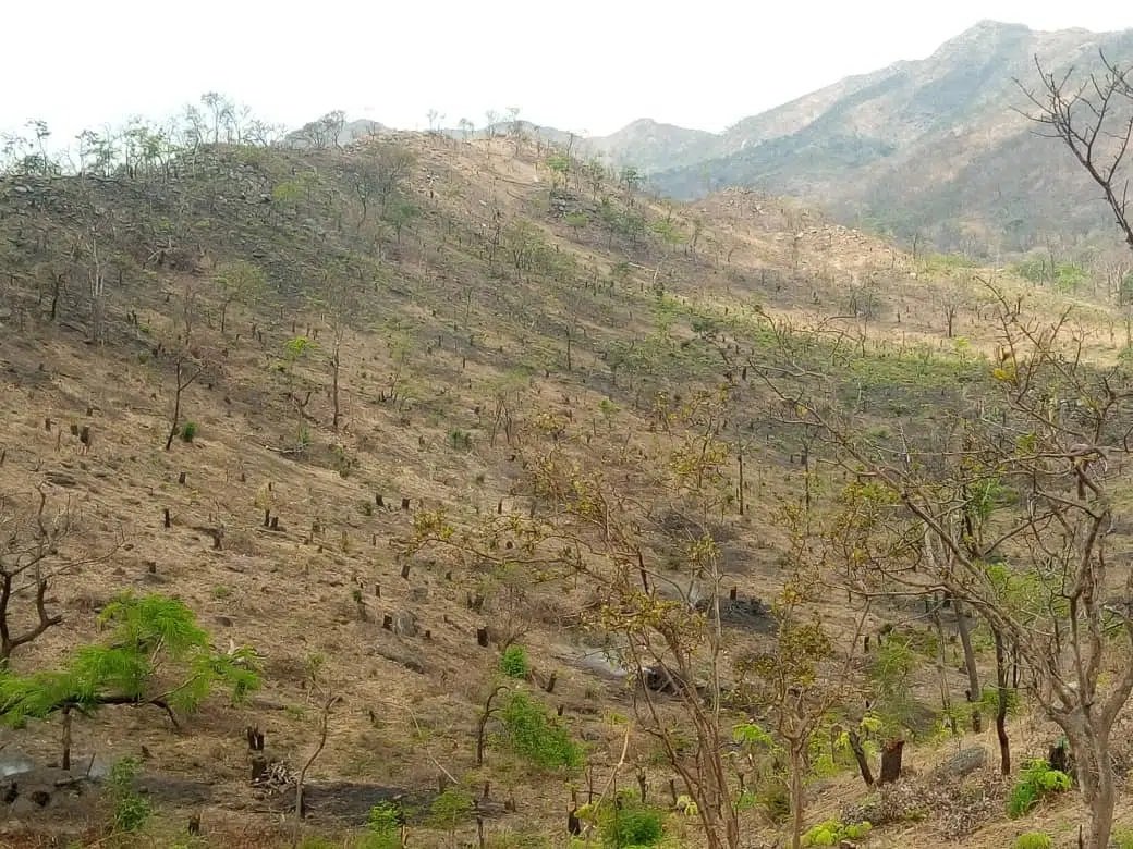 An-overview-of-a-degraded-landscape-in-the-Michiru-Forest-Reserve-©-Ausward-Bonongwe-.jpg