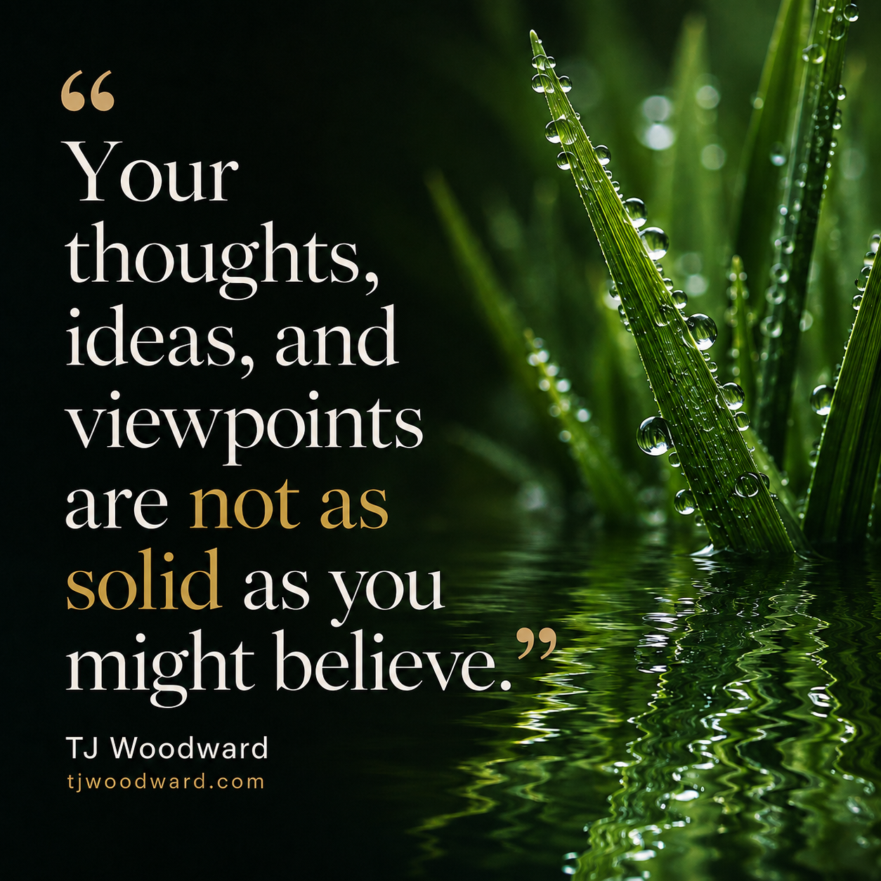 212-TJ Woodward Quote.jpeg