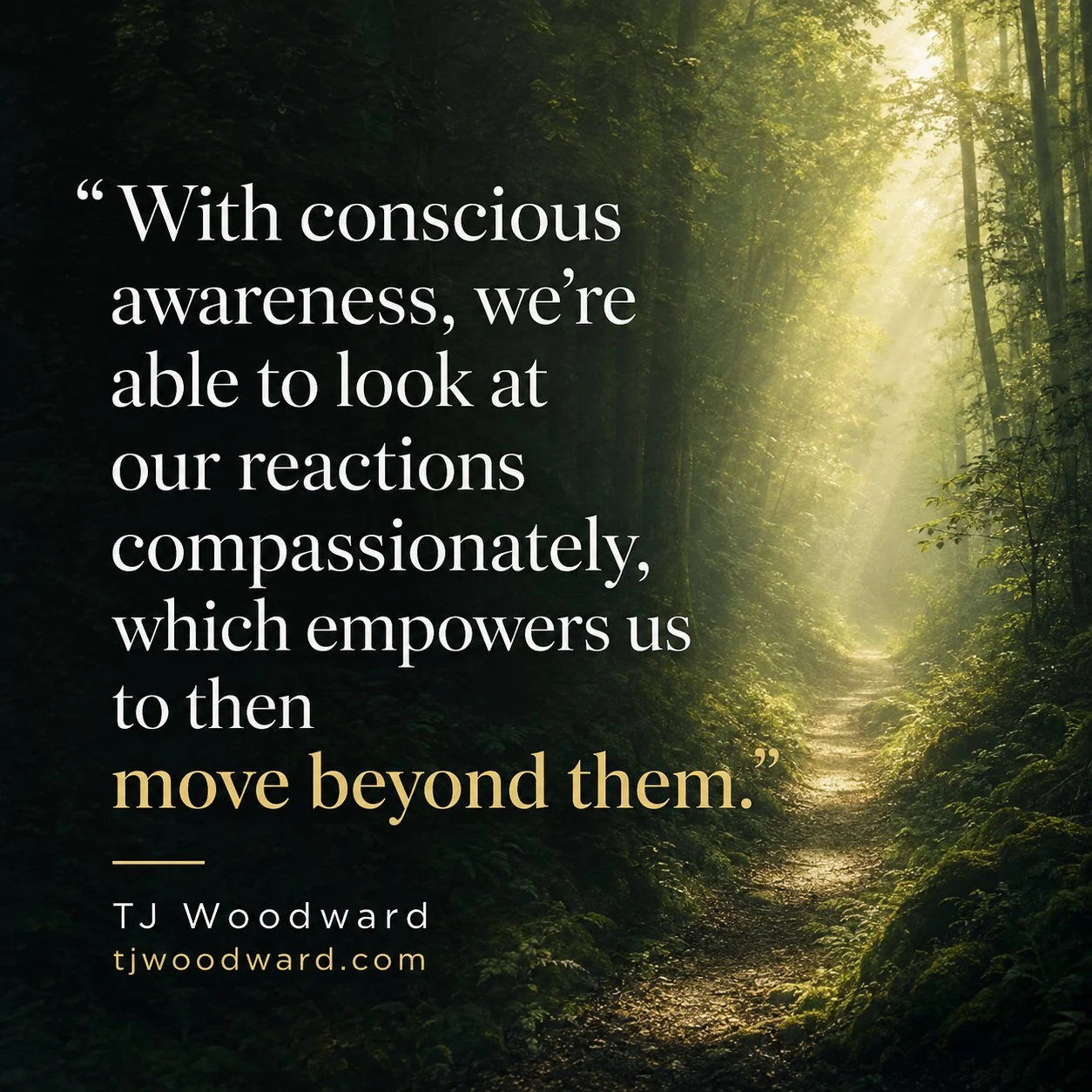 24-TJ Woodward Quote.jpg
