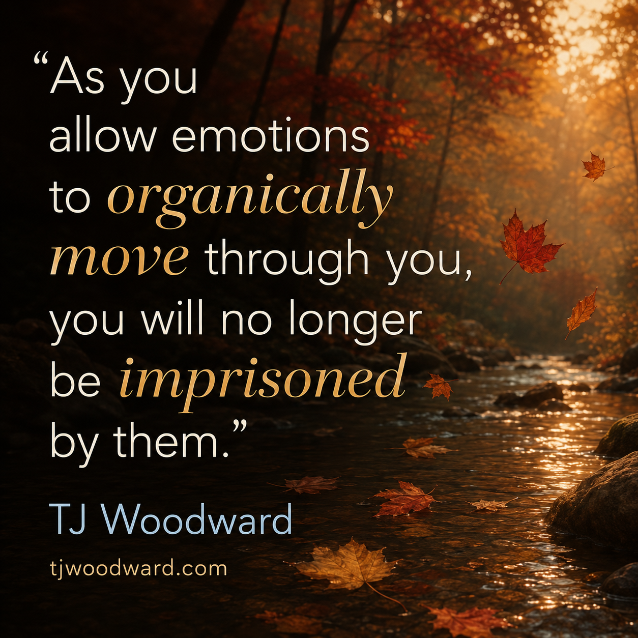 134-TJ Woodward Quote.jpeg