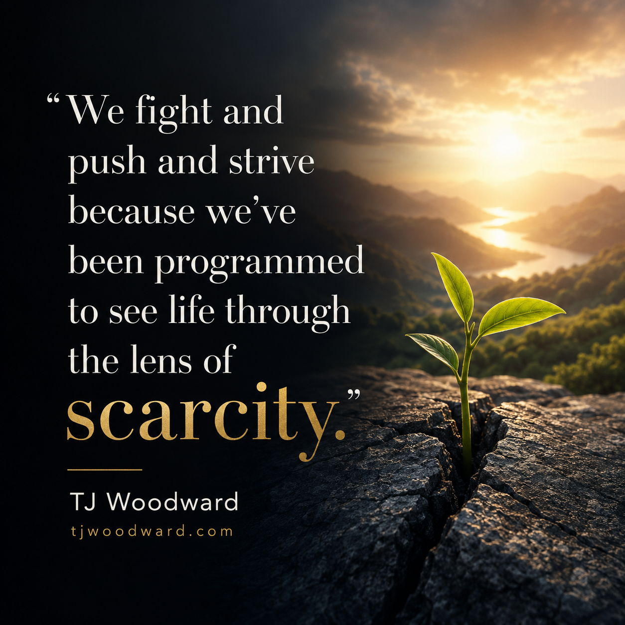142-TJ Woodward Quote.jpeg