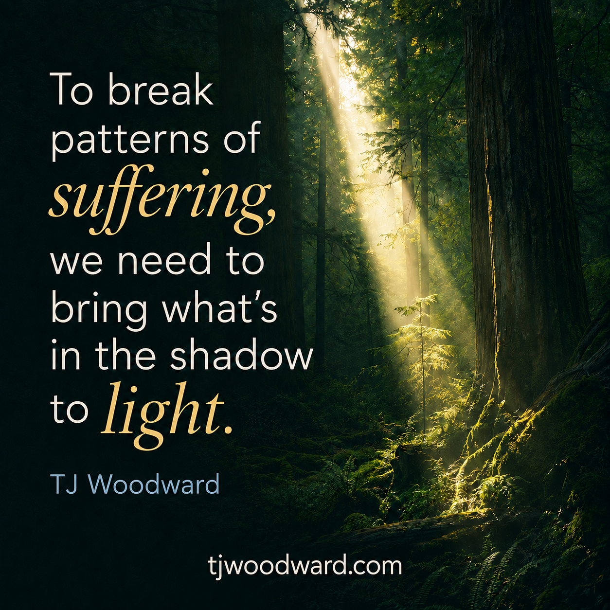 388-TJ Woodward Quote.jpeg