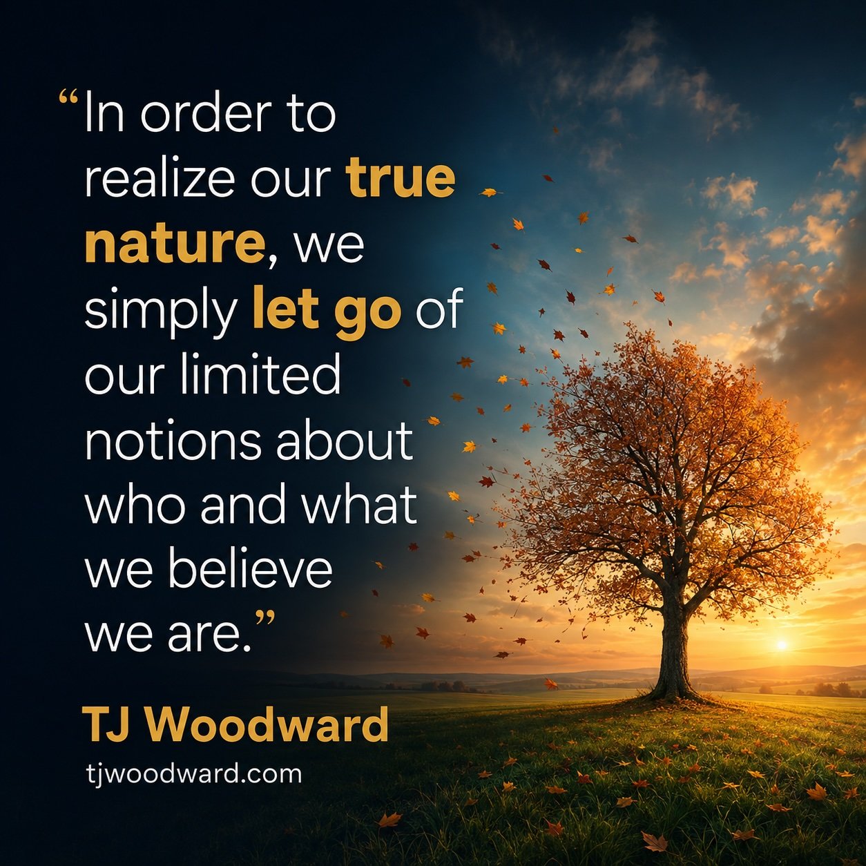 80-TJ Woodward Quote.jpeg