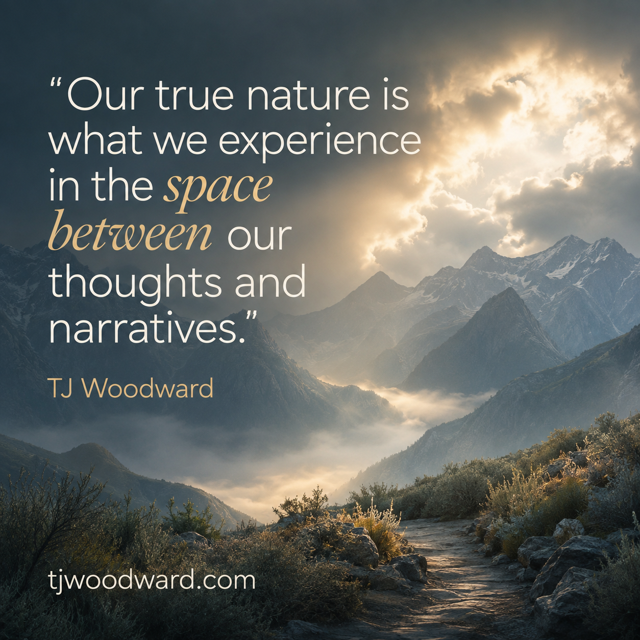 538-TJ Woodward Quote.jpeg