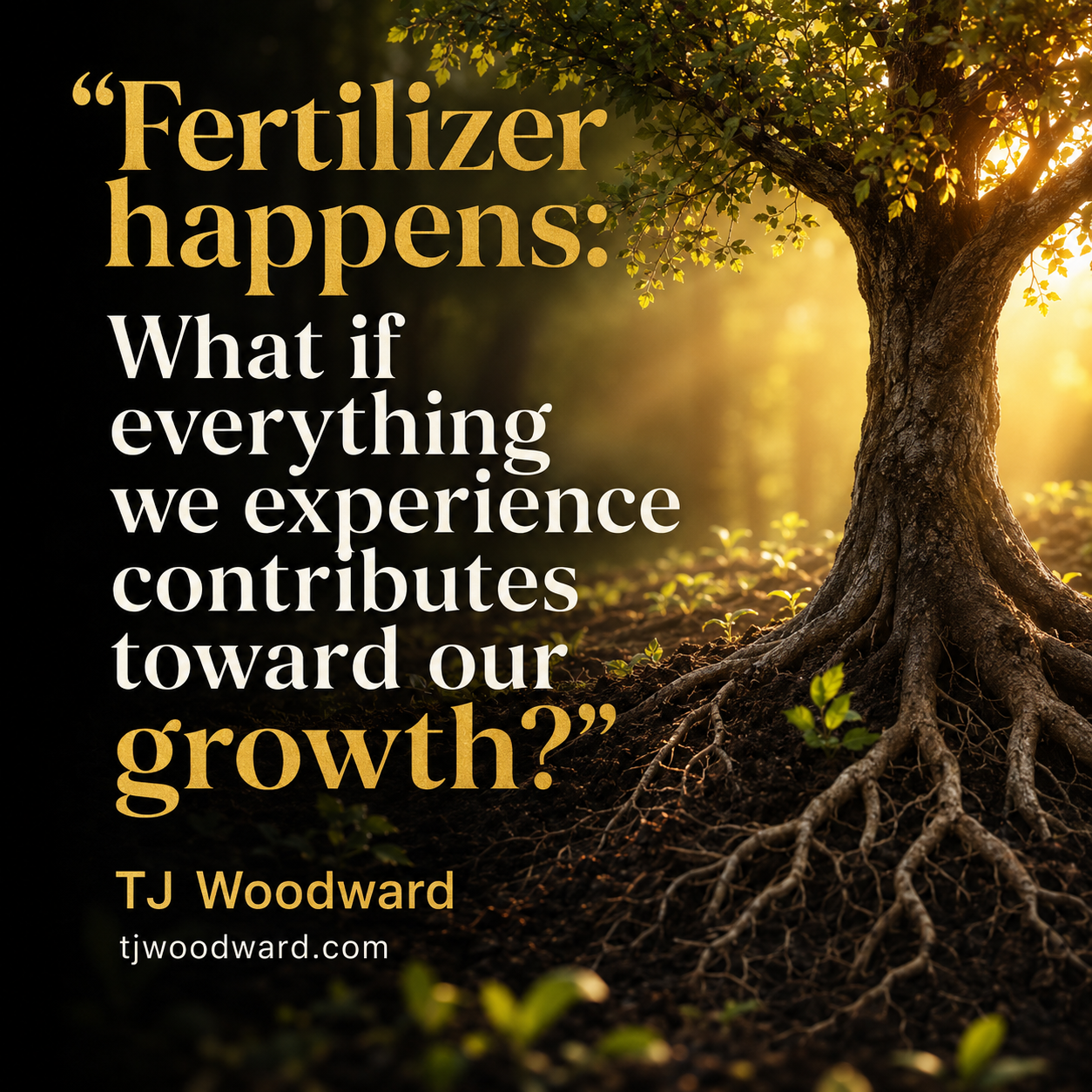 436-TJ Woodward Quote.jpeg