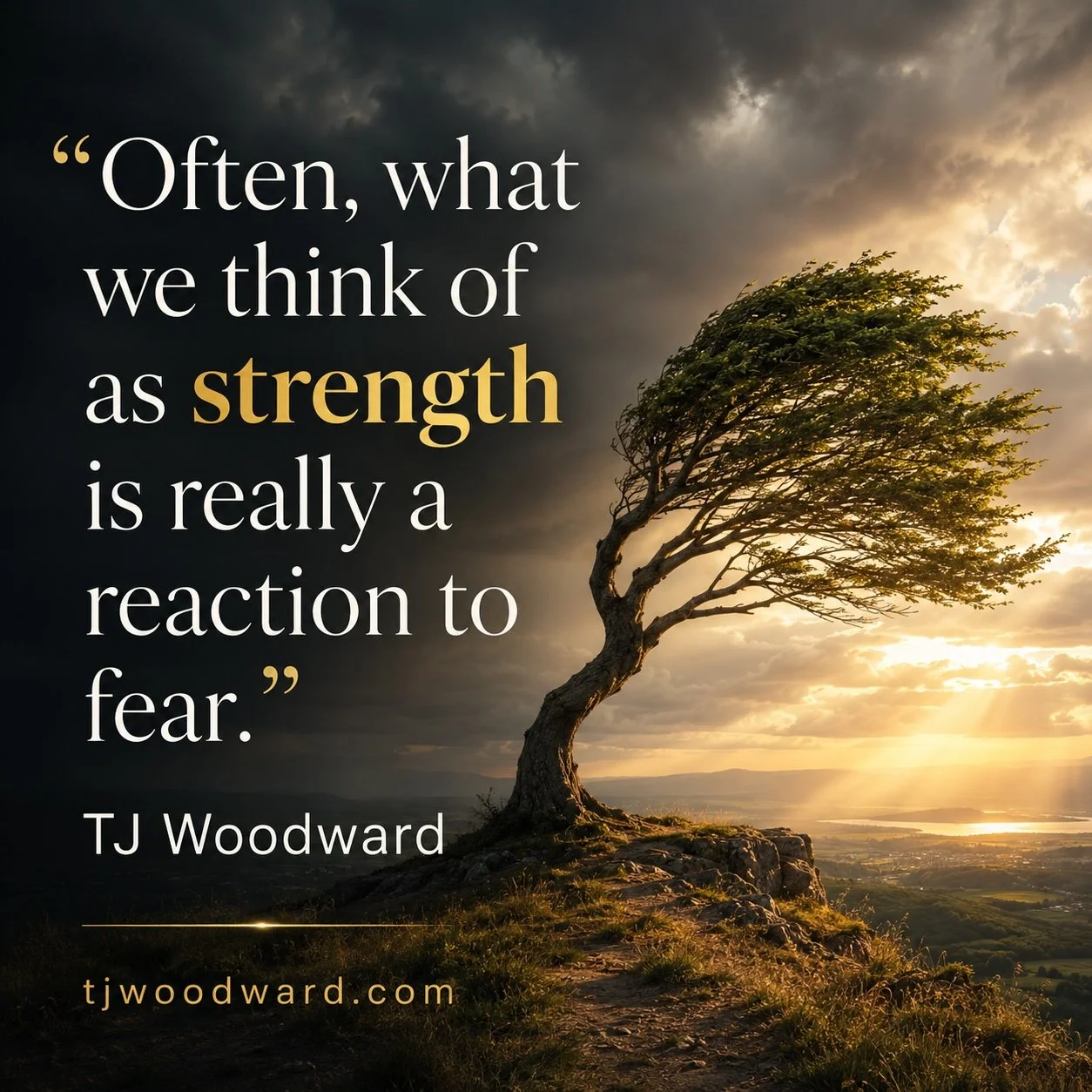 52-TJ Woodward Quote.jpeg