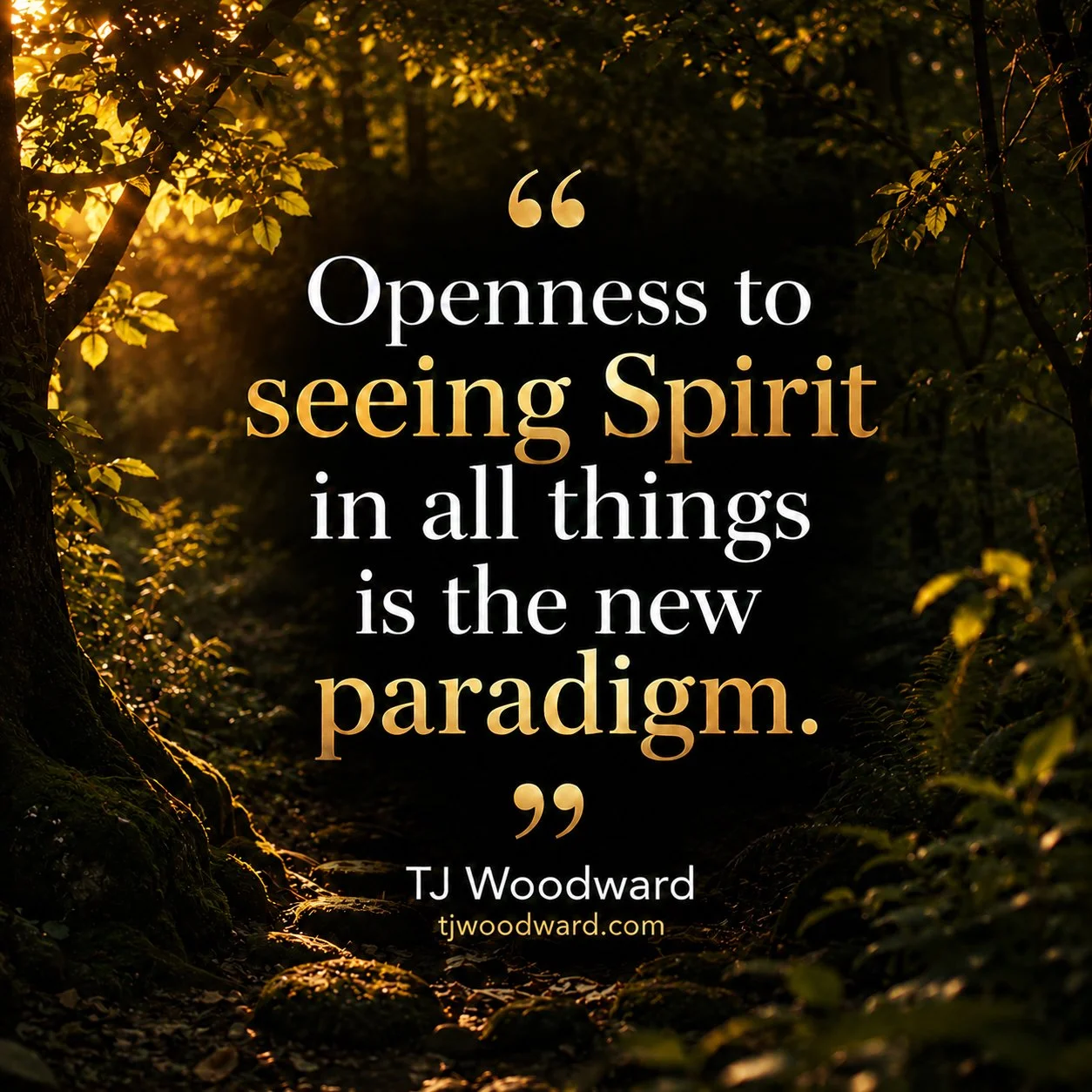 516-TJ Woodward Quote.jpg