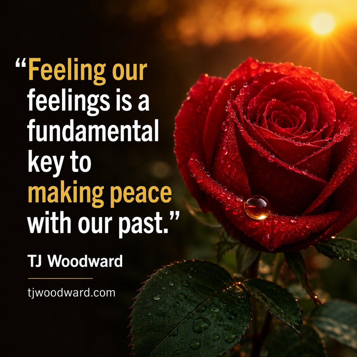 94-TJ Woodward Quote.jpeg