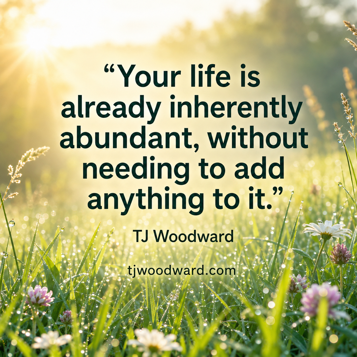 116-TJ Woodward Quote.jpeg