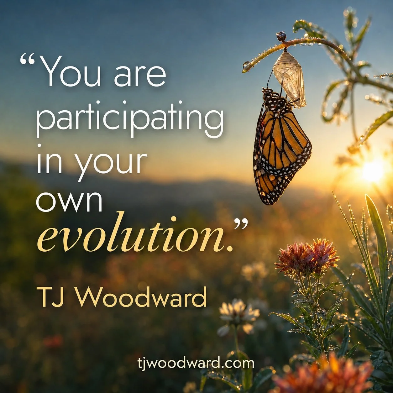50-TJ Woodward Quote.jpeg