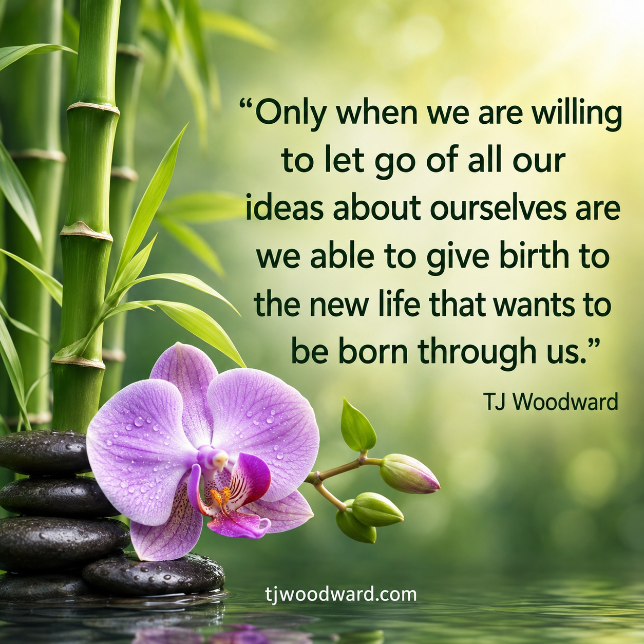 164-TJ Woodward Quote.jpeg