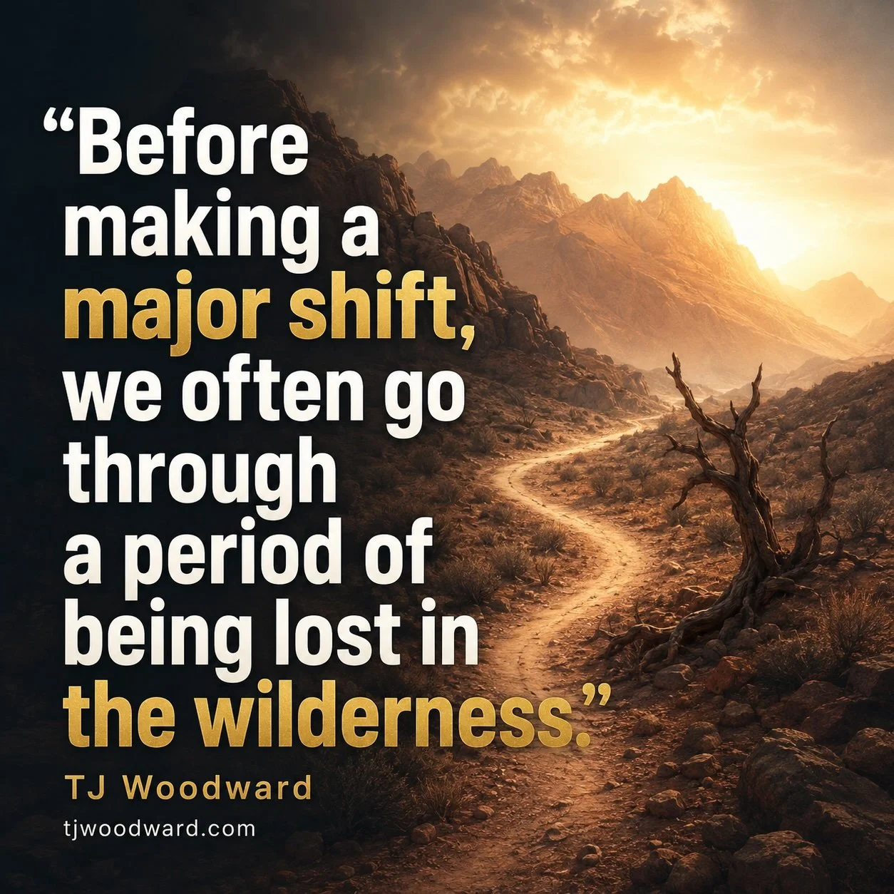 64-TJ Woodward Quote.jpeg