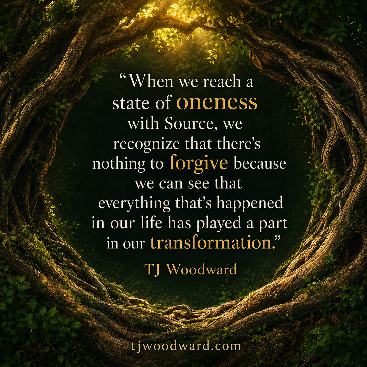 444-TJ Woodward Quote.jpeg