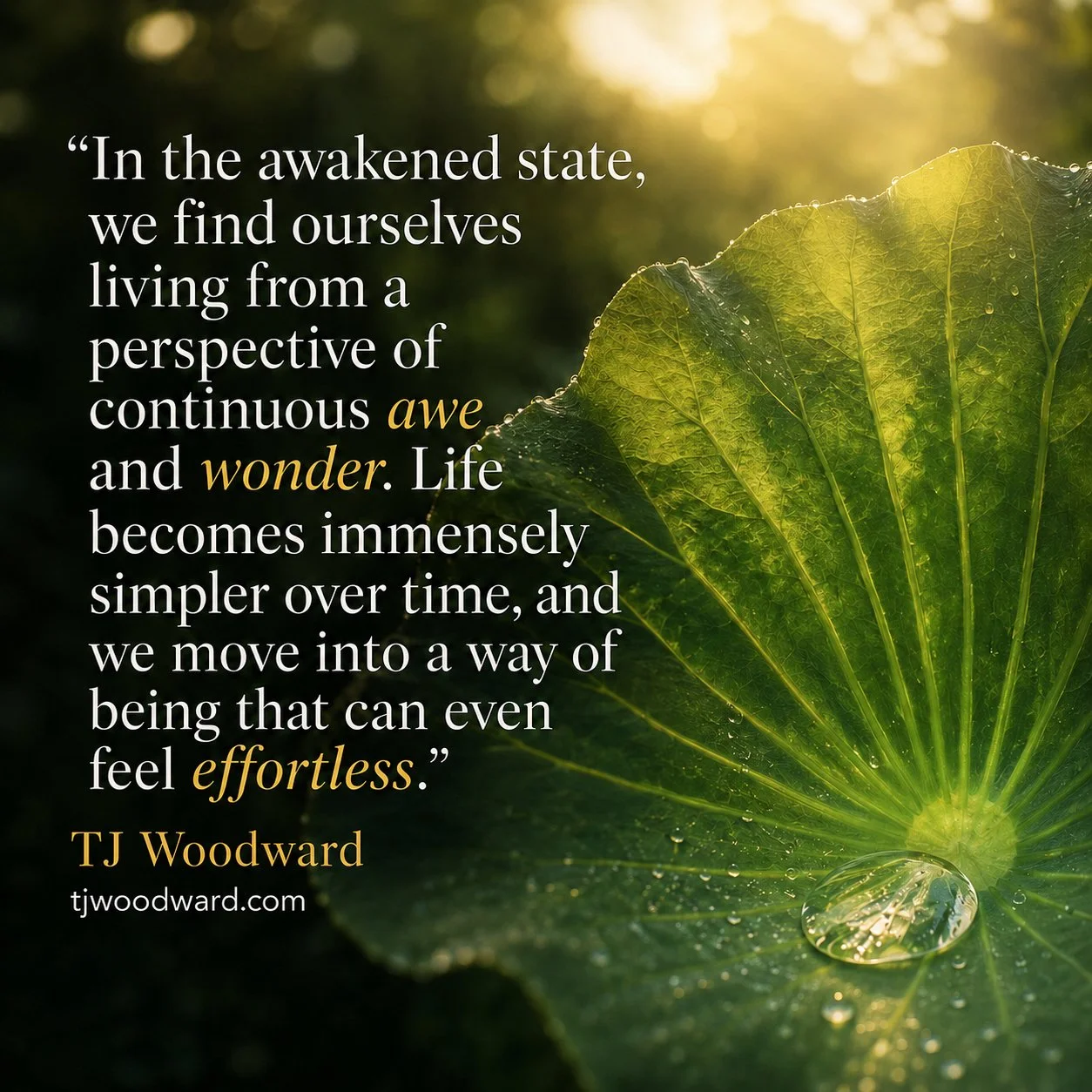 40-TJ Woodward Quote.jpg