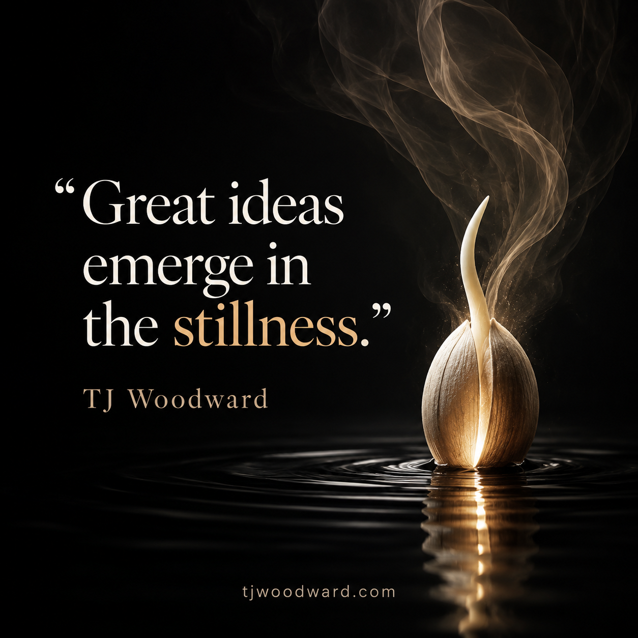 970-TJ Woodward Quote.jpeg