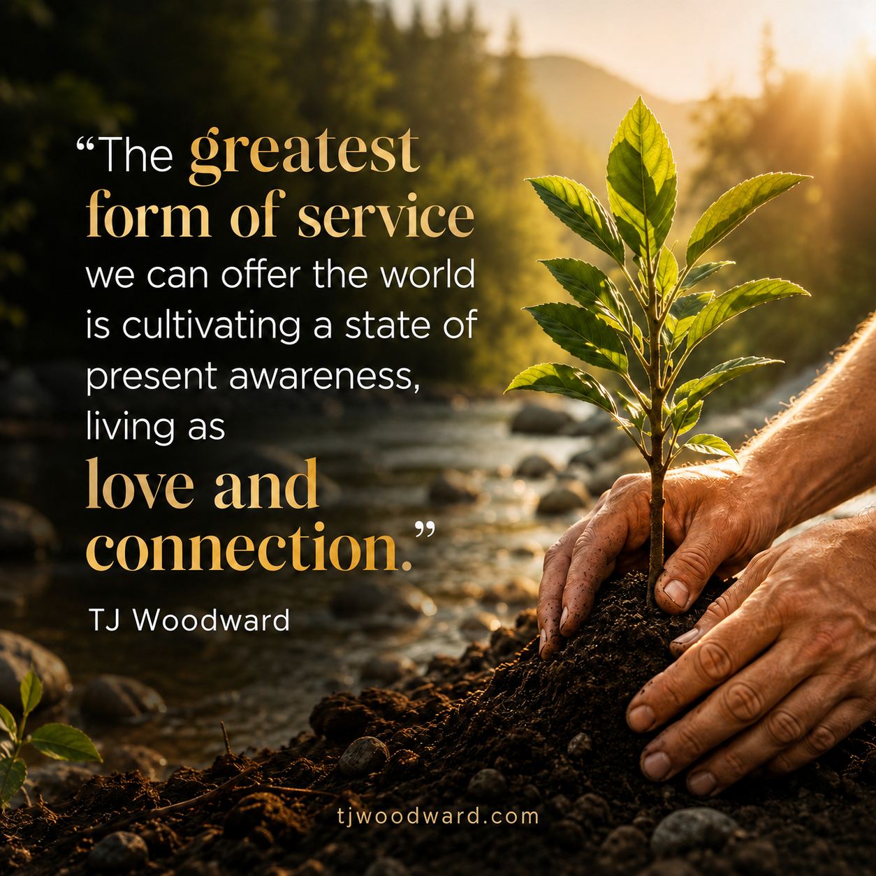 368-TJ Woodward Quote.jpeg