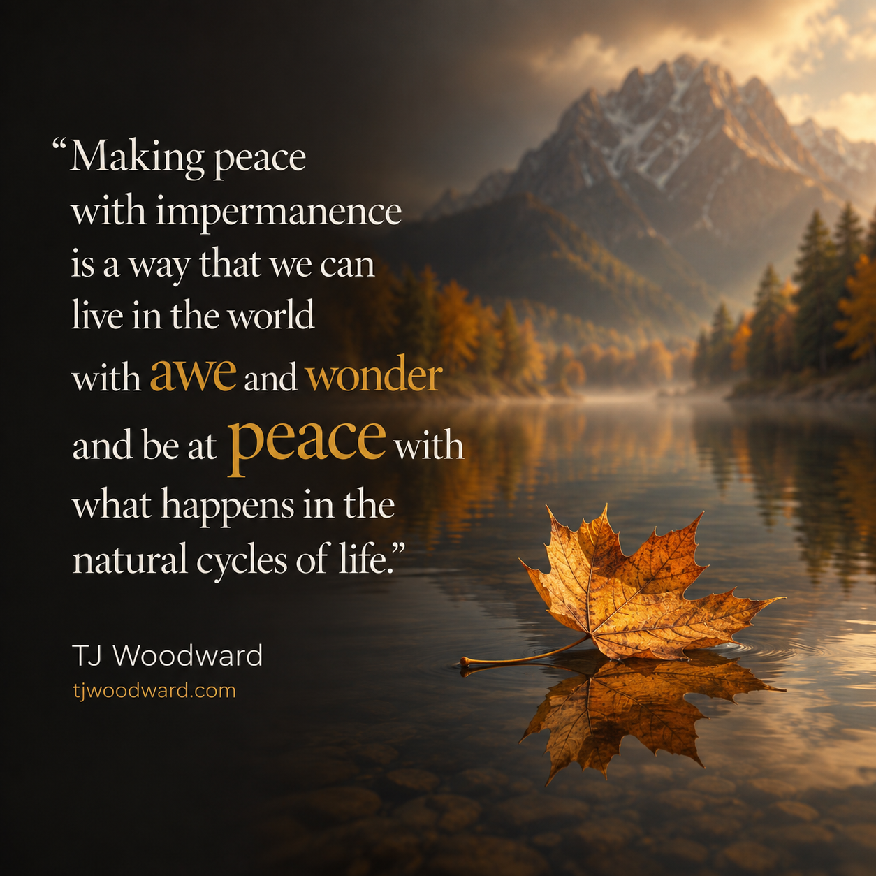 238-TJ Woodward Quote.jpeg