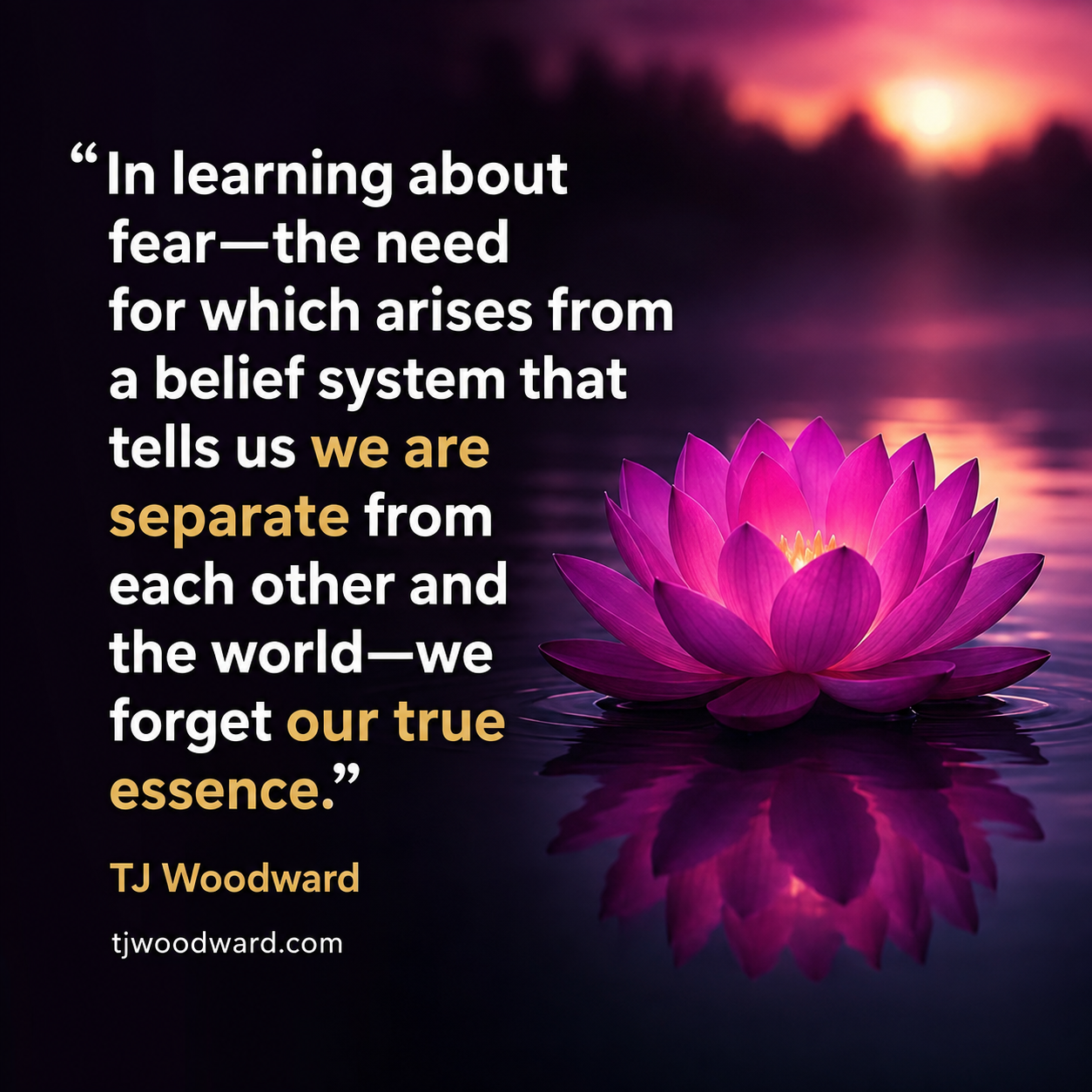 272-TJ Woodward Quote.jpeg