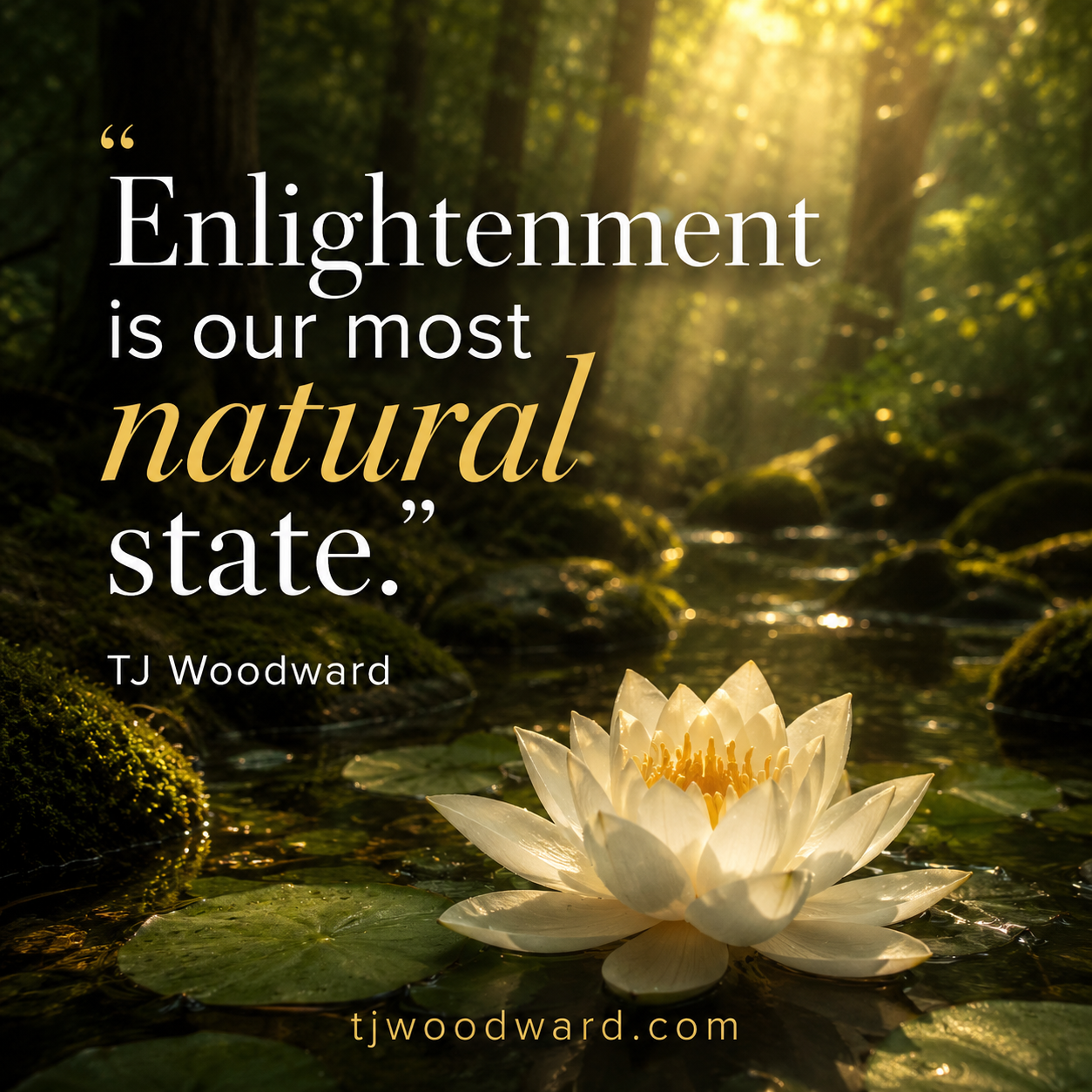 384-TJ Woodward Quote.jpeg