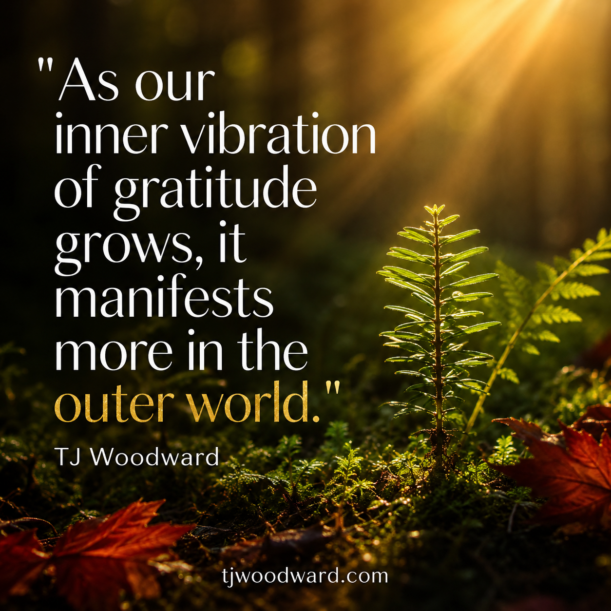 168-TJ Woodward Quote.jpeg