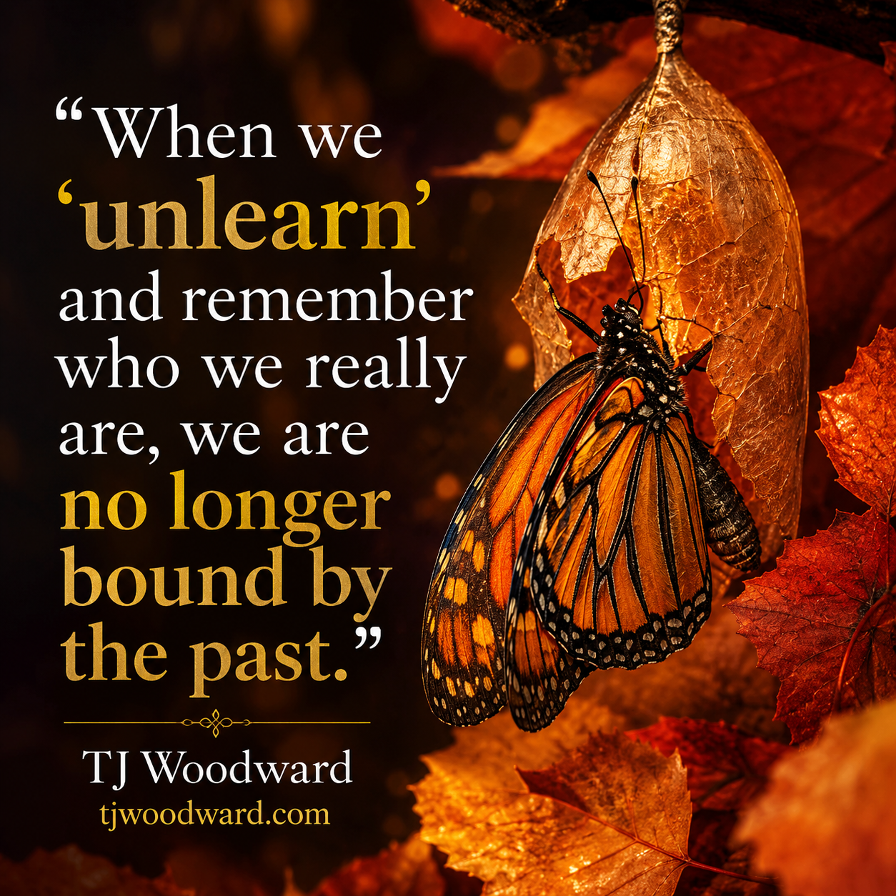 256-TJ Woodward Quote.jpeg