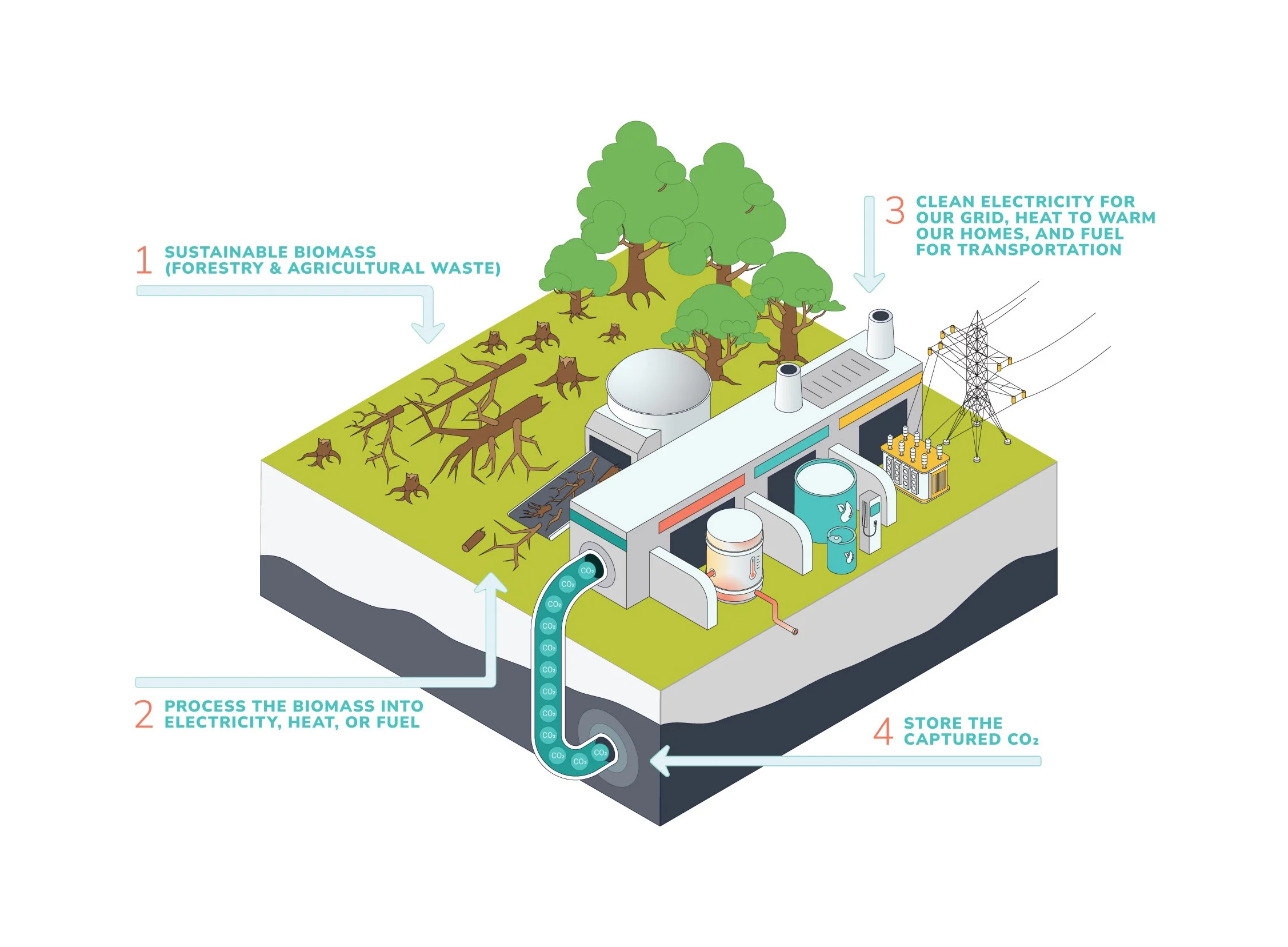 Bioenergy with Carbon Capture and Storage