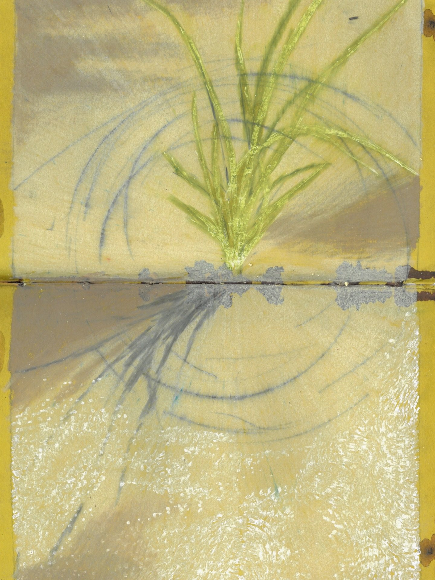 dunegrass study no.3