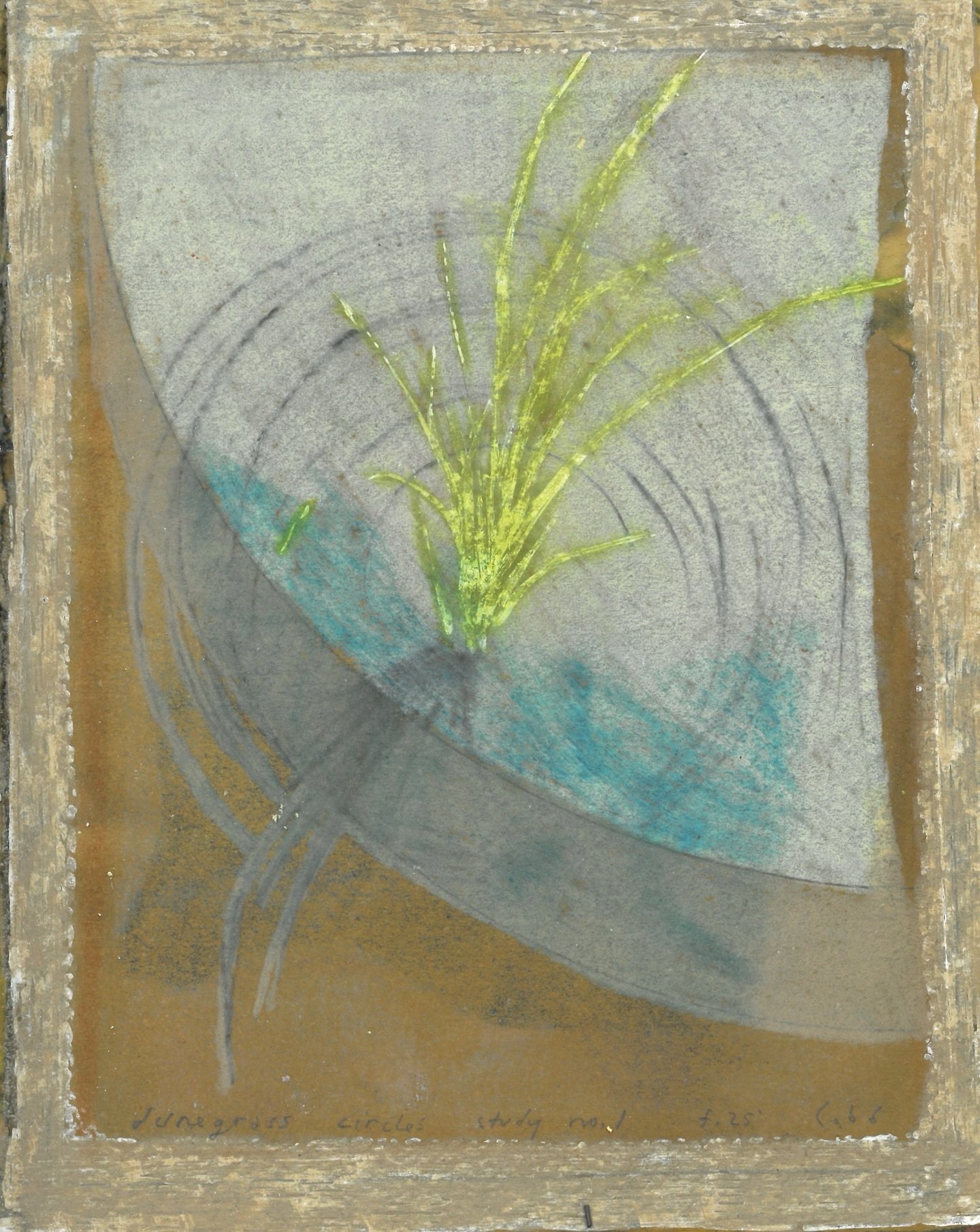 dunegrass study no.1