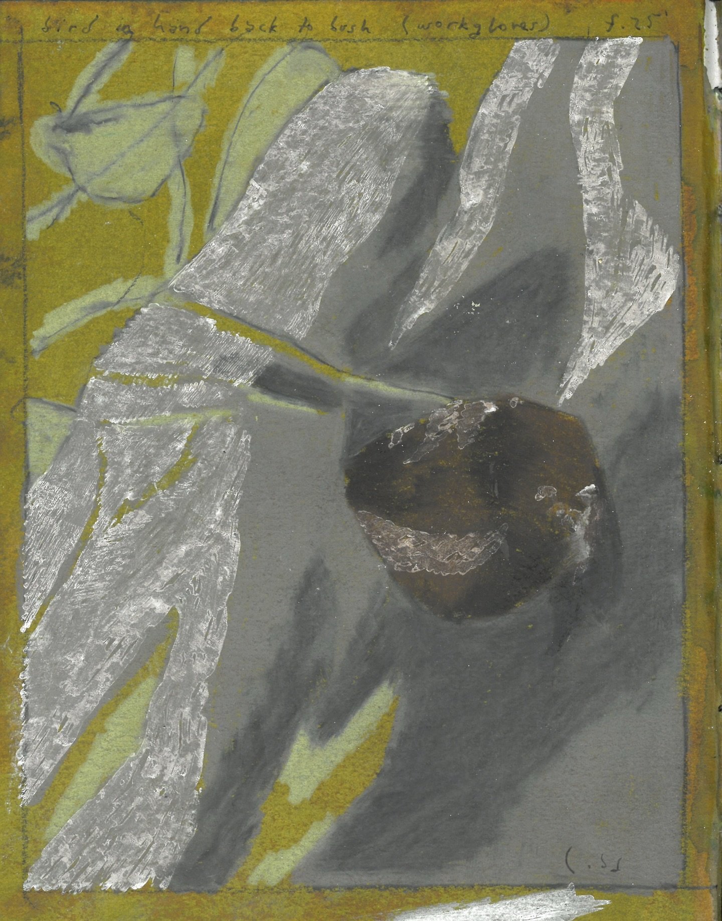 bird in hand back to bush (work gloves). fall 2025