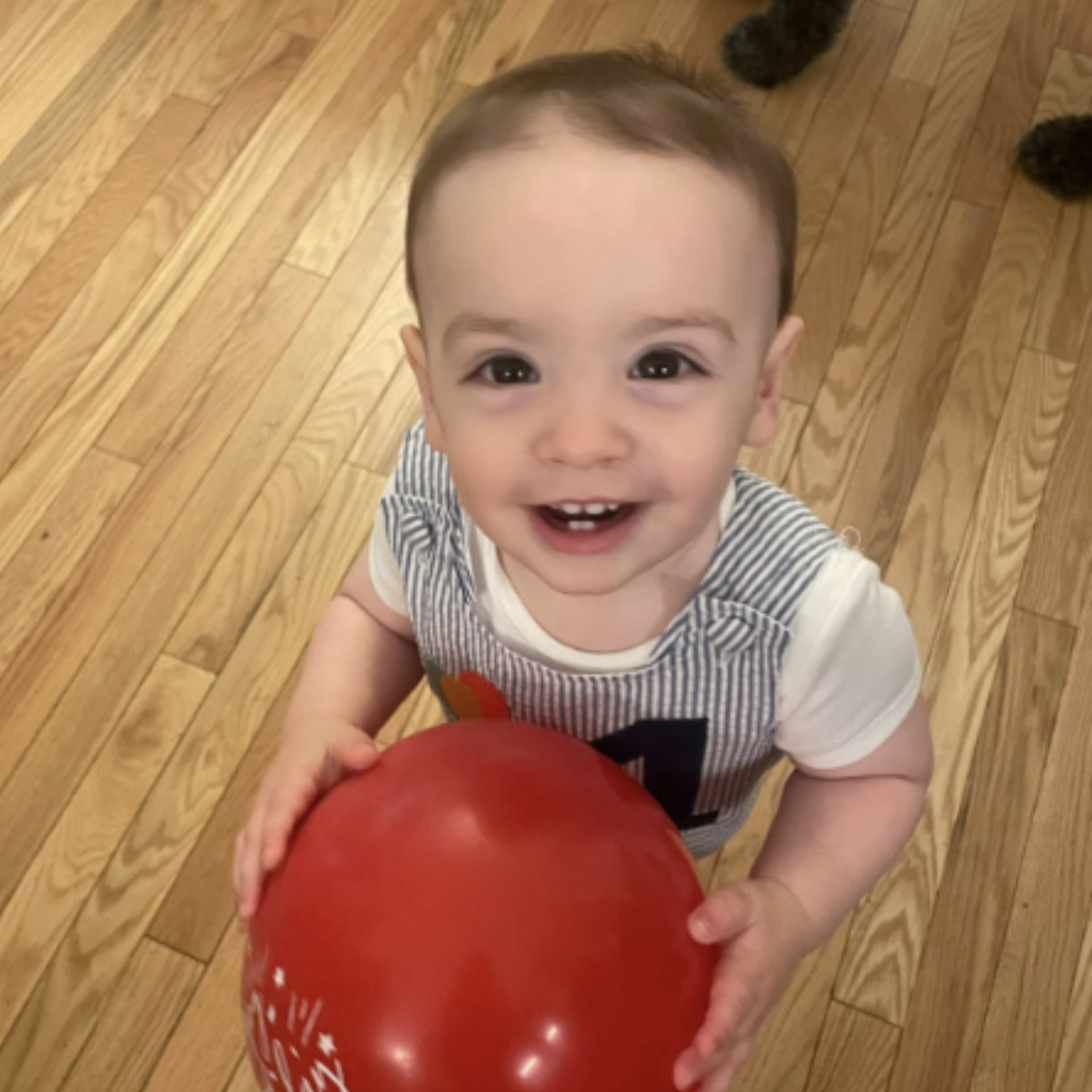 Untitled design (34).png