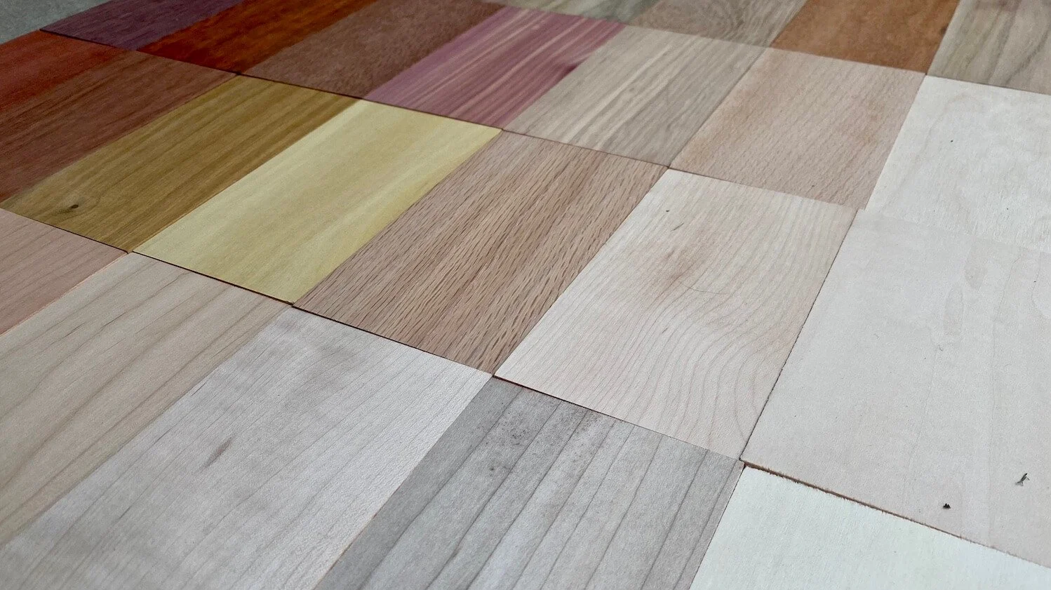 What Wood is Best for a Cutting Board? A Complete Guide to Choosing Your Kitchen Essential