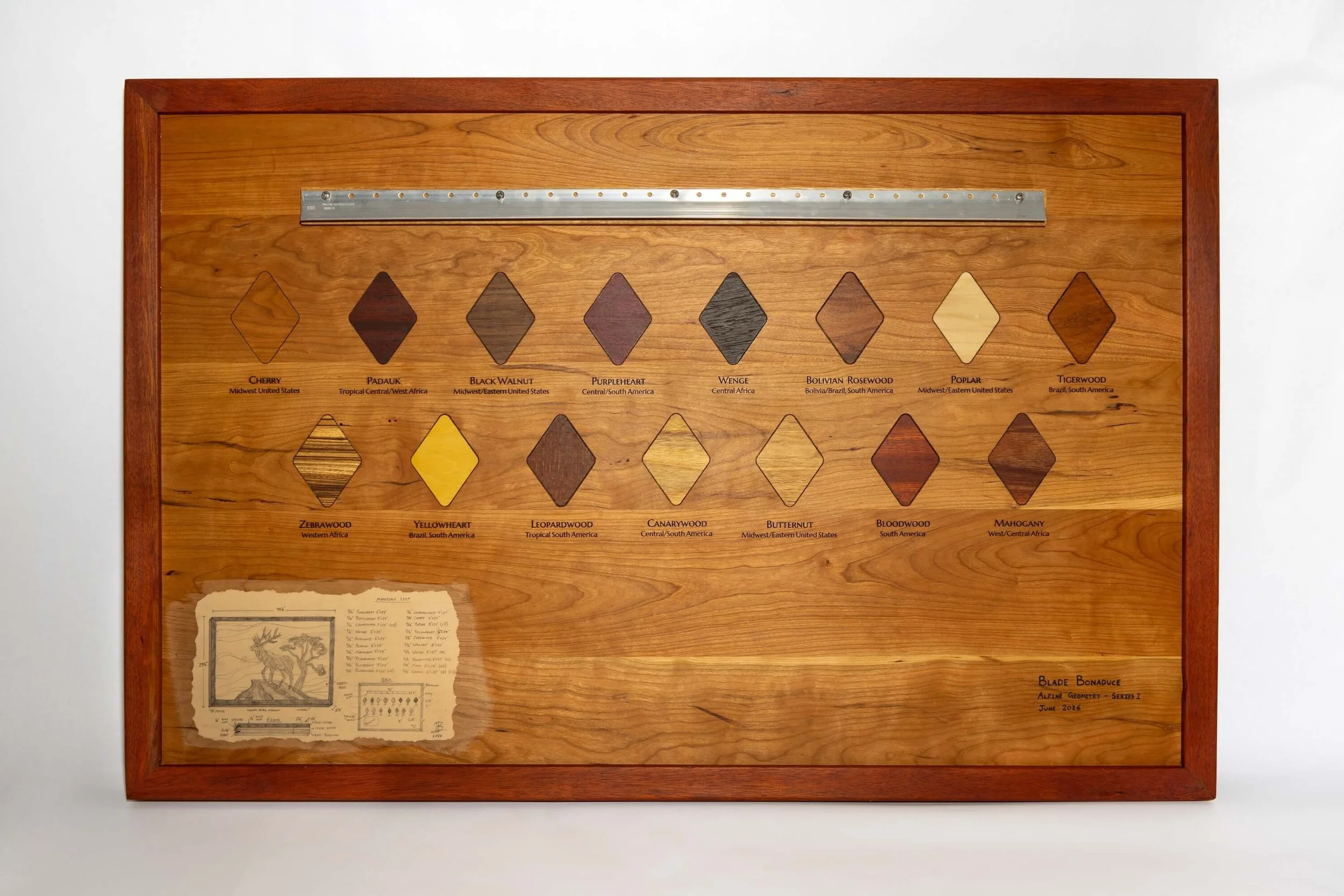 A wooden display board featuring various wood samples in diamond shapes, labeled with their names and regions, along with a metal ruler at the top and a sheet with a drawing at the bottom.