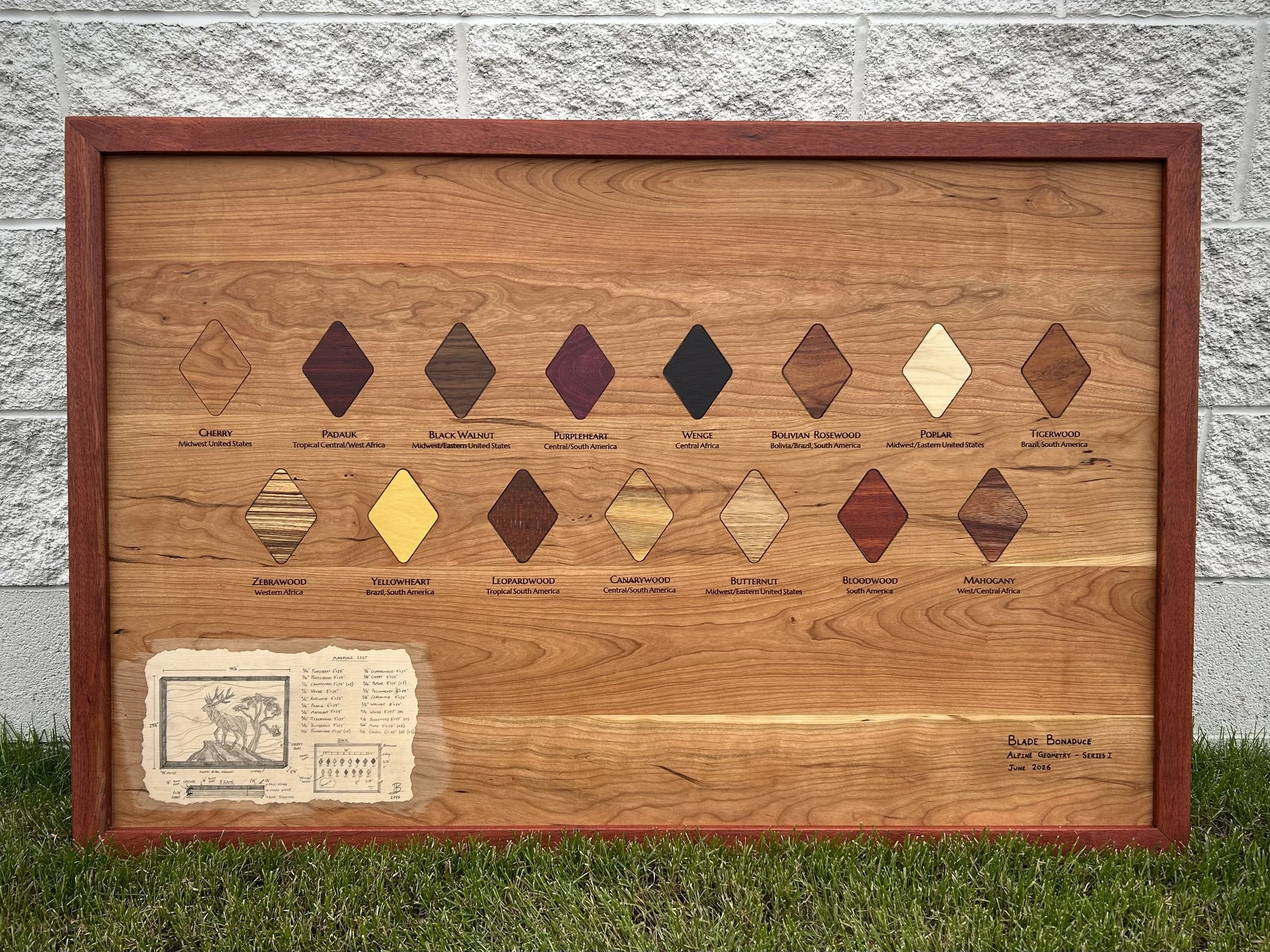 Wooden display board with diamond-shaped samples of different wood types labeled with their names and regions, set outdoors against a brick wall with grass in the foreground.