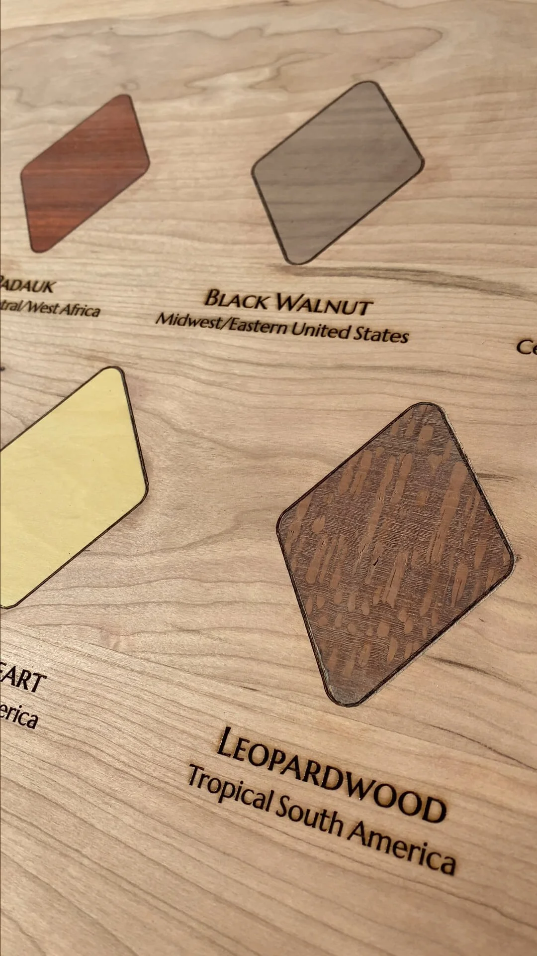 Close-up of a wooden display with various wood sample swatches, including black walnut, leopardwood, and other tropical hardwoods, with labels indicating their types and origins.