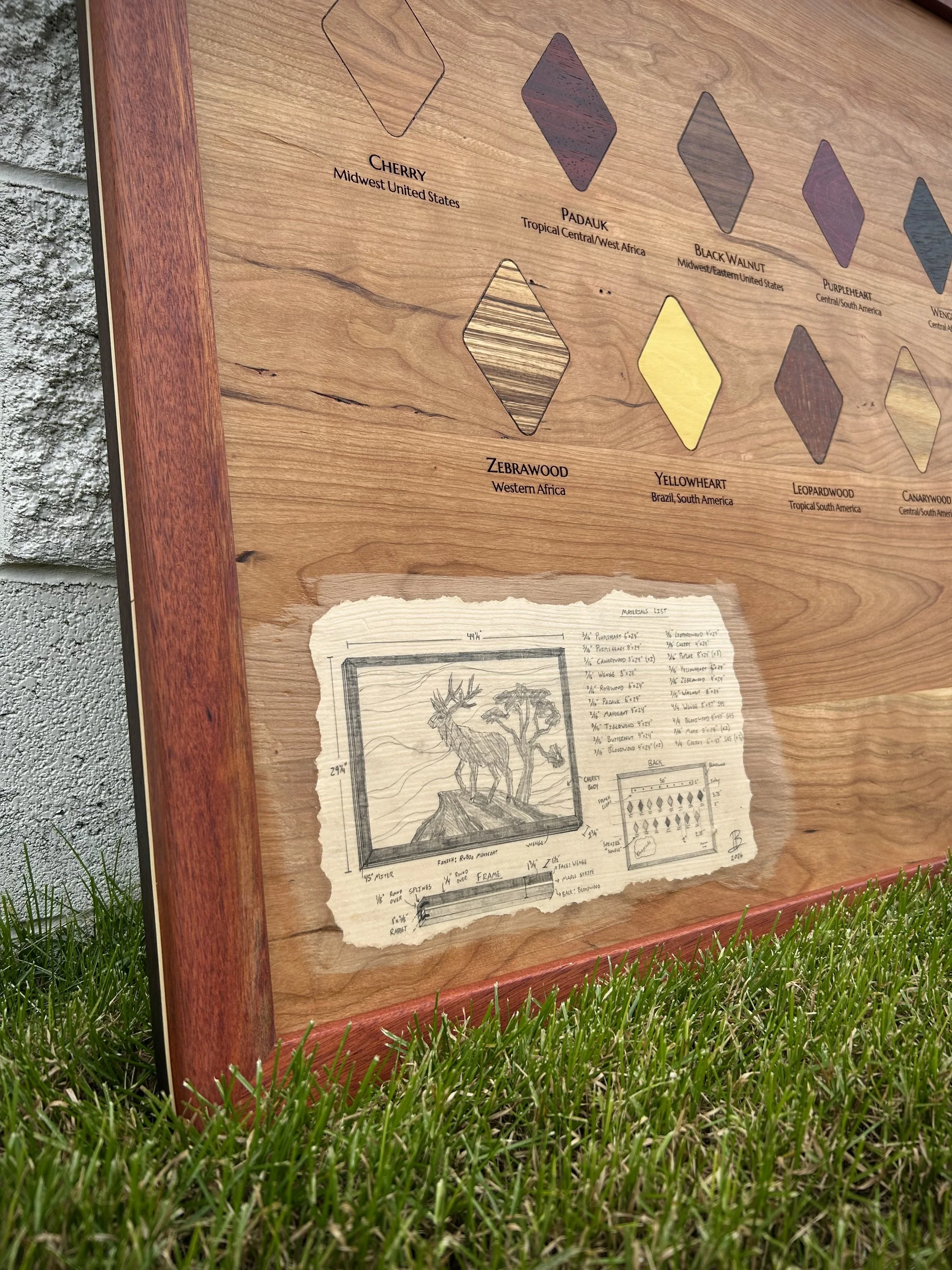 Wooden display board outdoors with diamond-shaped color samples and labels for different types of wood. Notes and sketches are visible on paper pasted beneath the samples, surrounded by grass and a concrete wall.