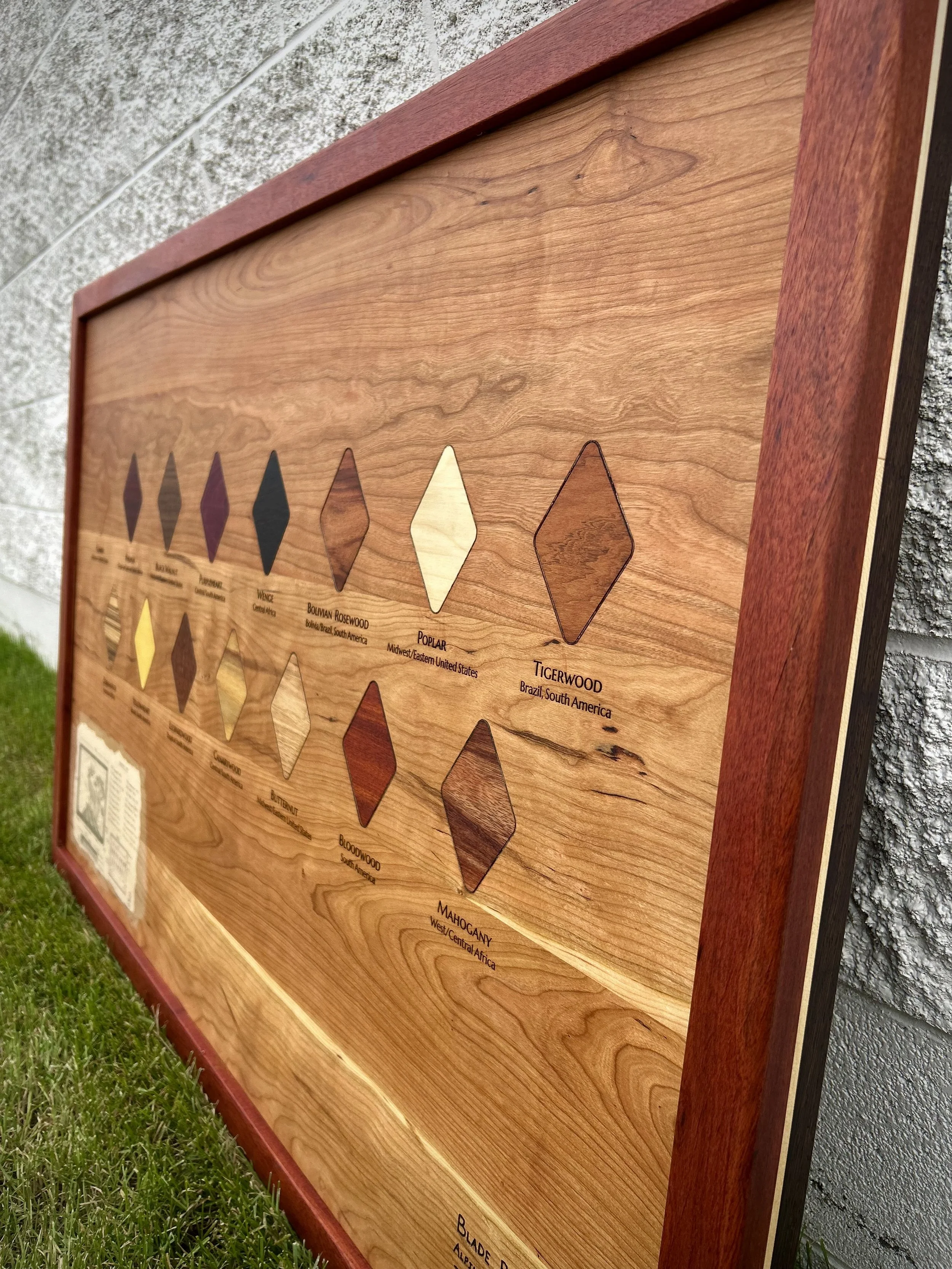Wooden display board with different types of wood samples and their names, set outdoors on grass next to a stone wall.