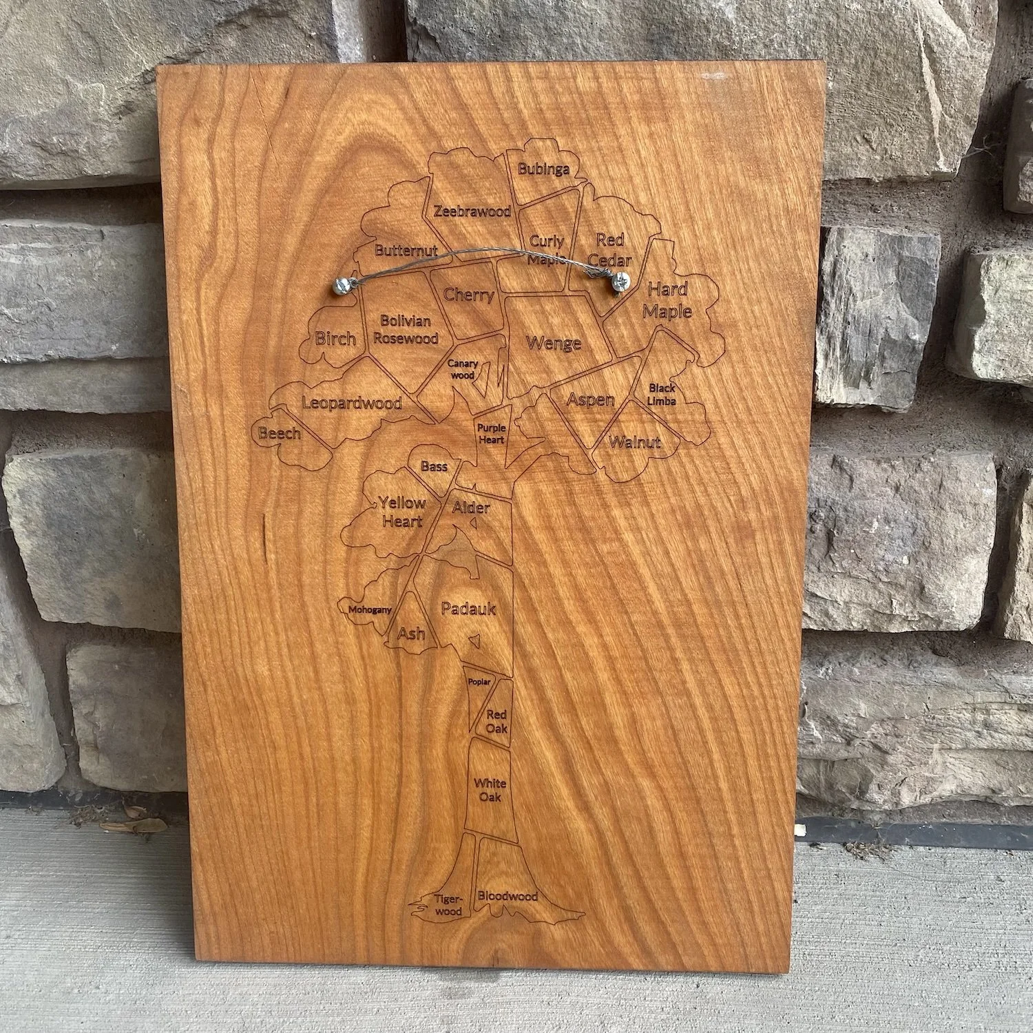 Fractal Tree Multi Species5.jpeg