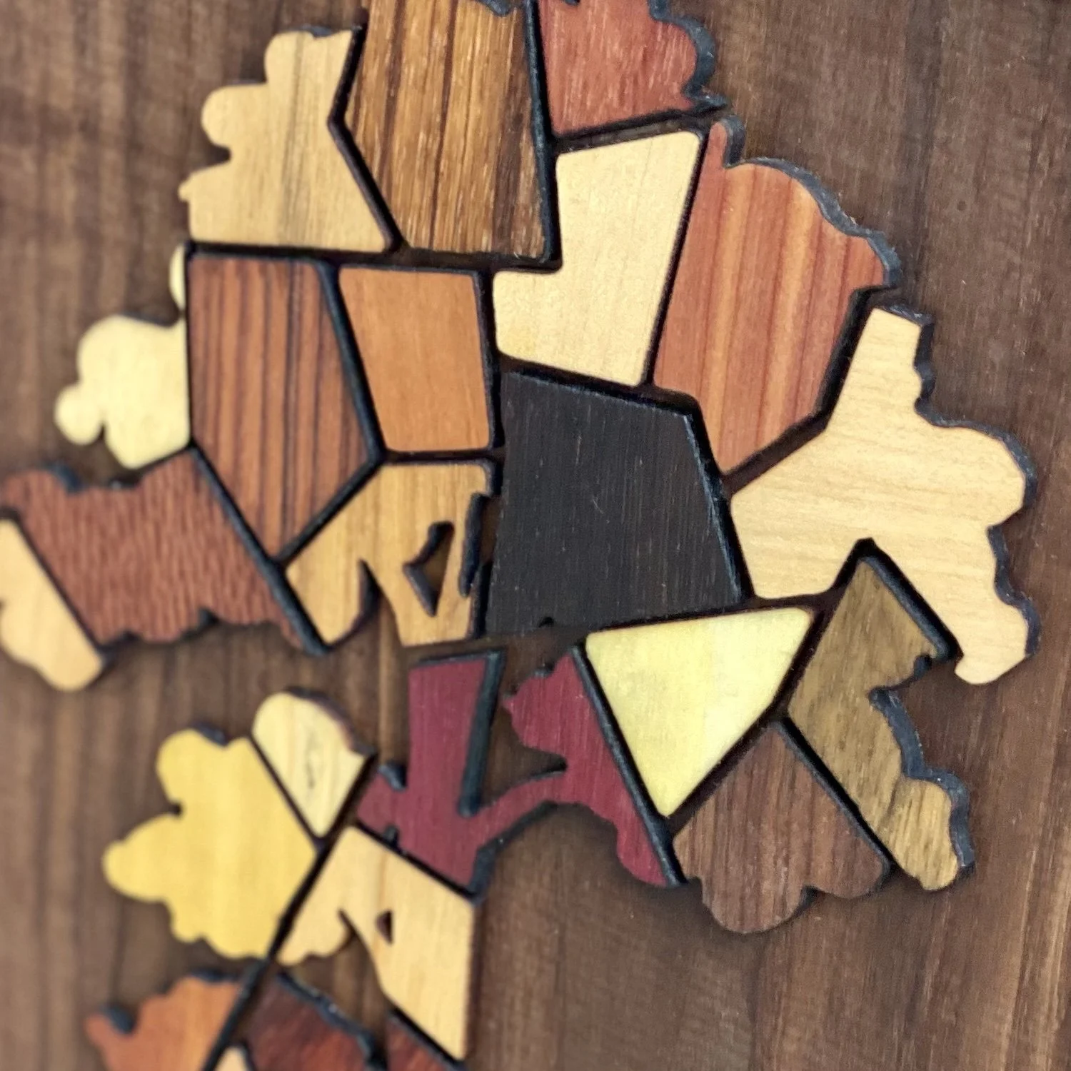 Frsactal Tree Multi Species3.jpeg