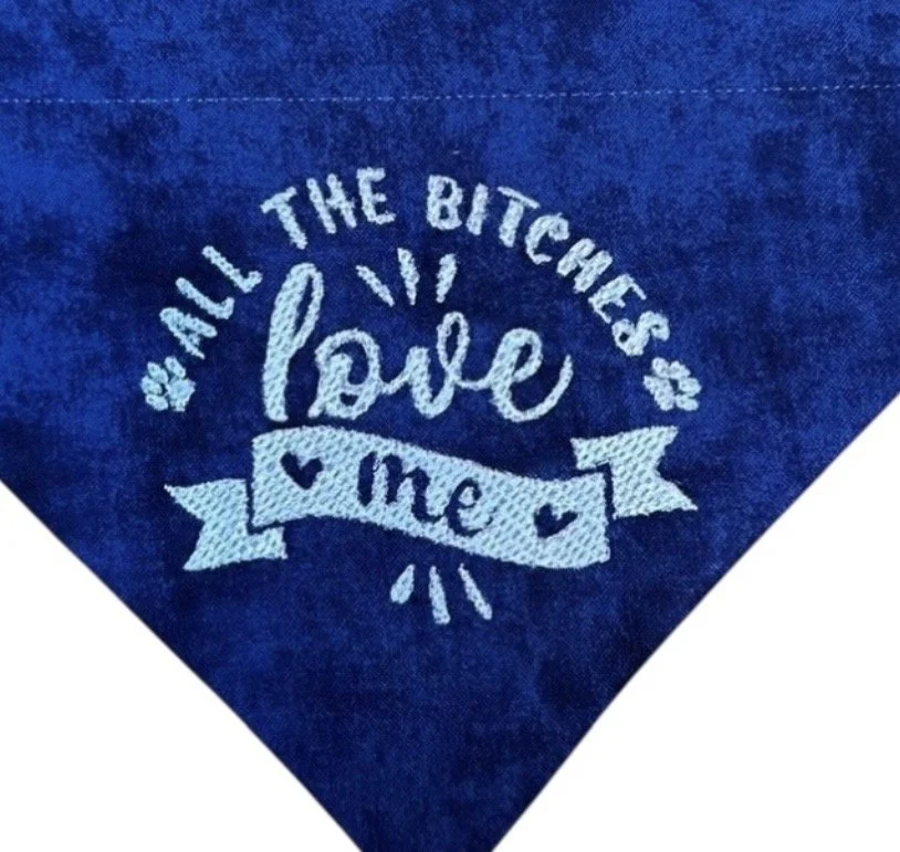All the Bitches Love Me
